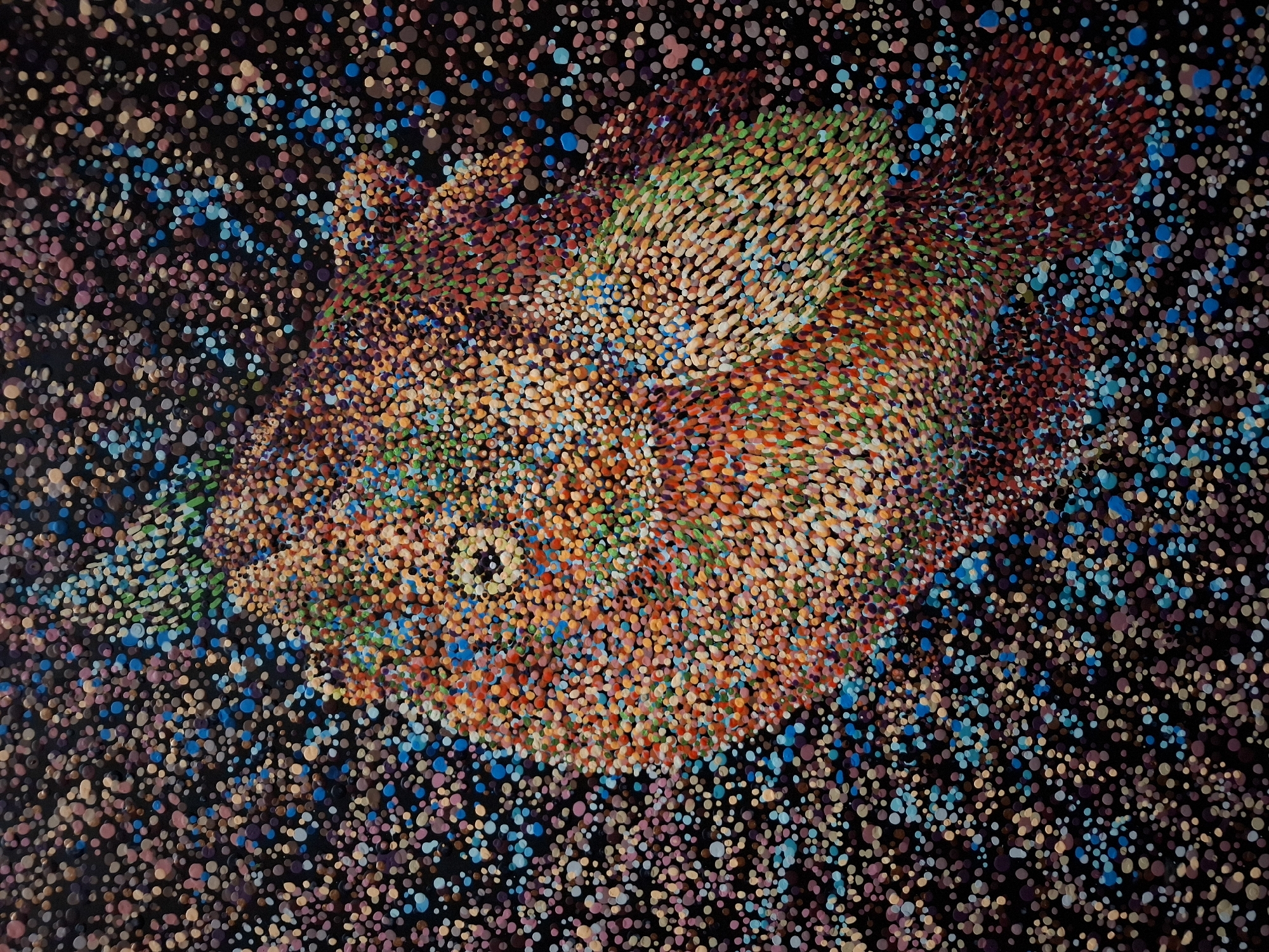 Pointillist fish painting observed against speckled black background