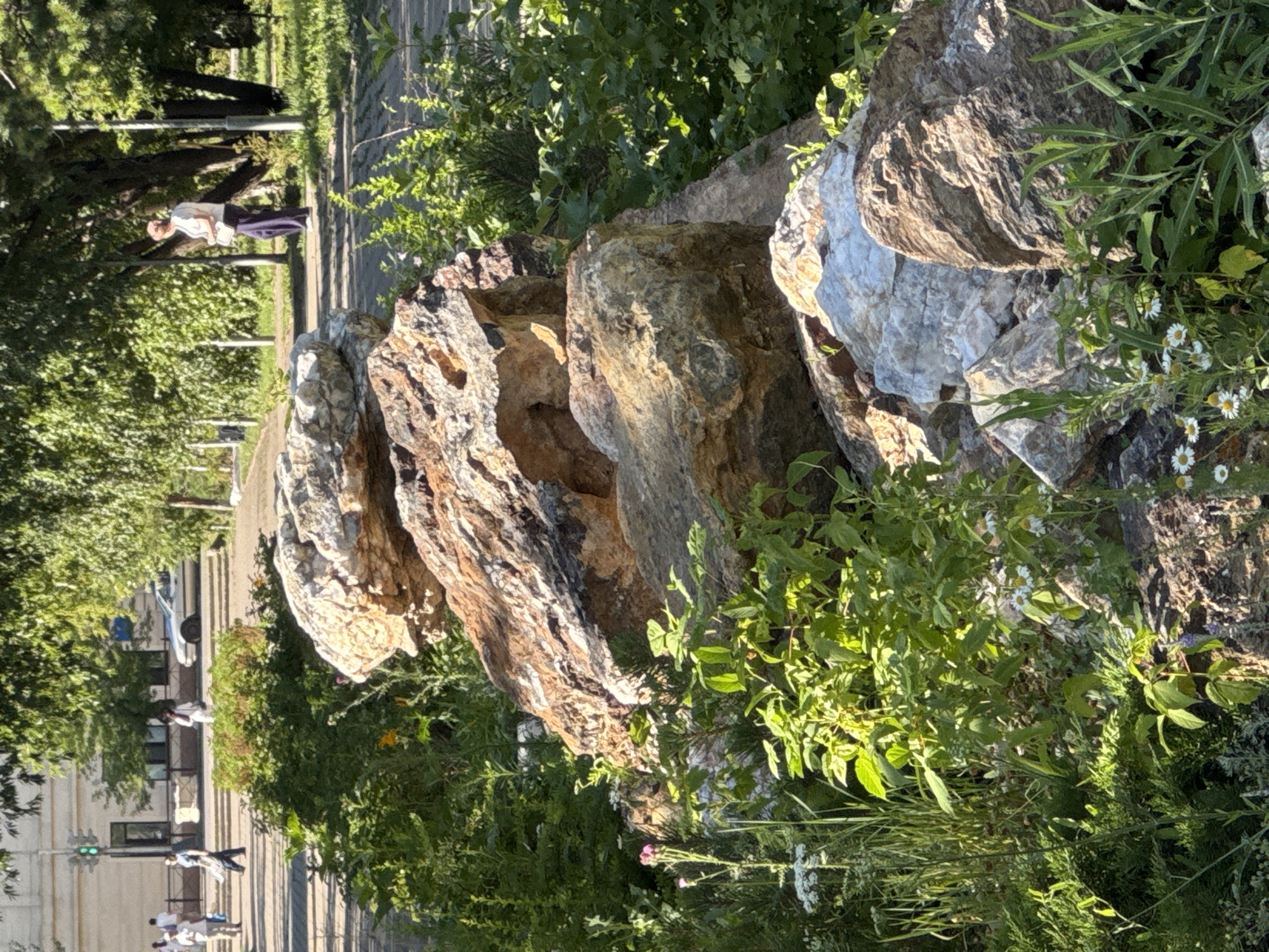 Sunny afternoon in a Kokshetau city park, midsummer 2026