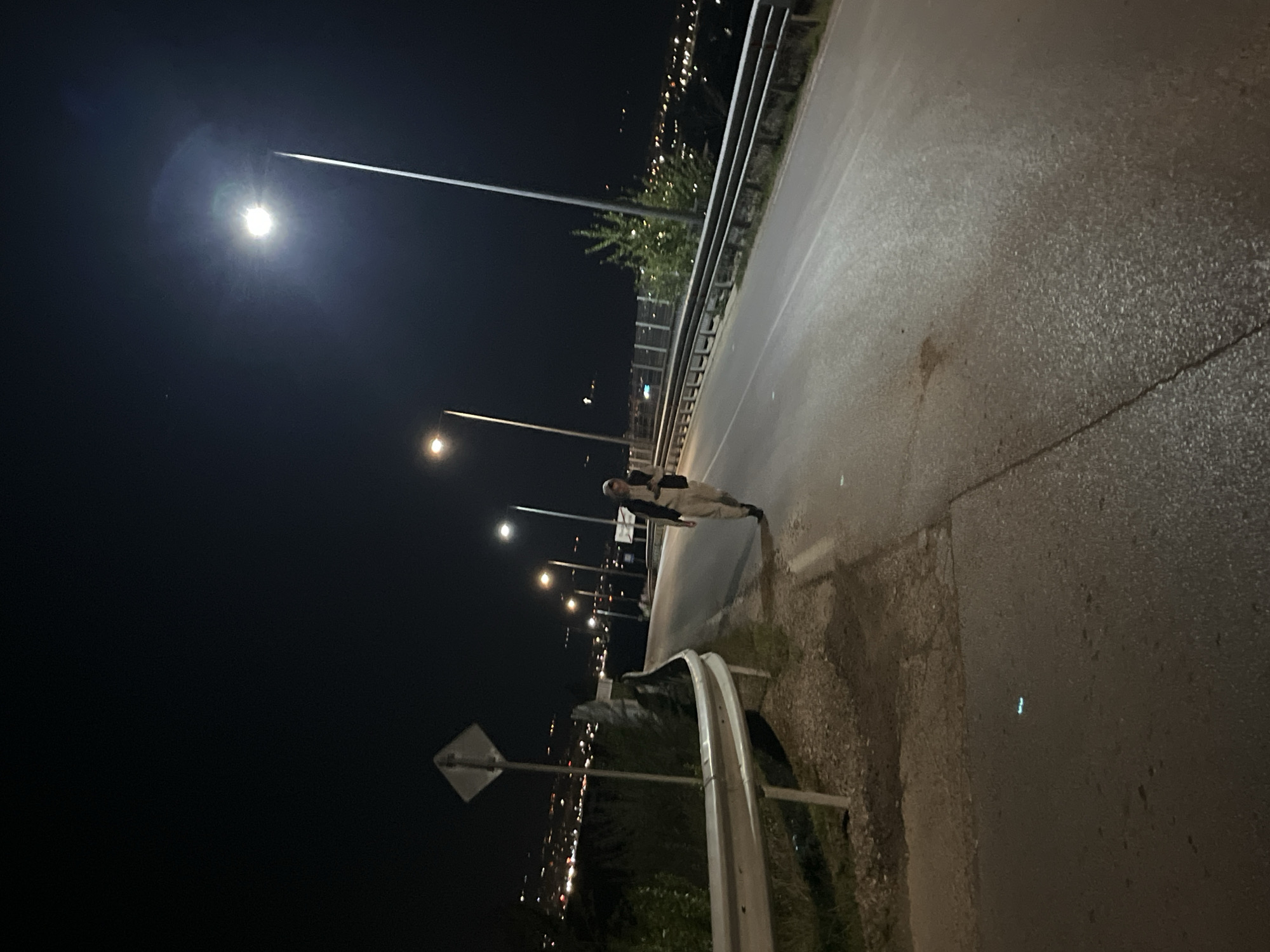 Person stands on roadside at night near city
