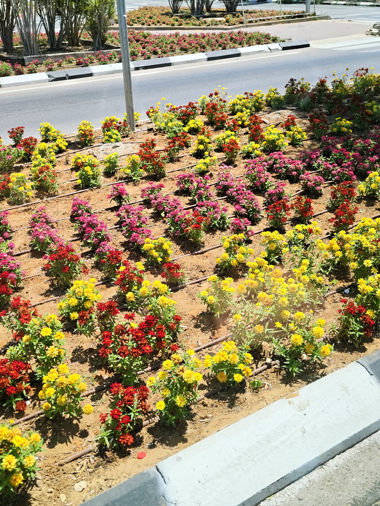 Rishon LeZion, Israel