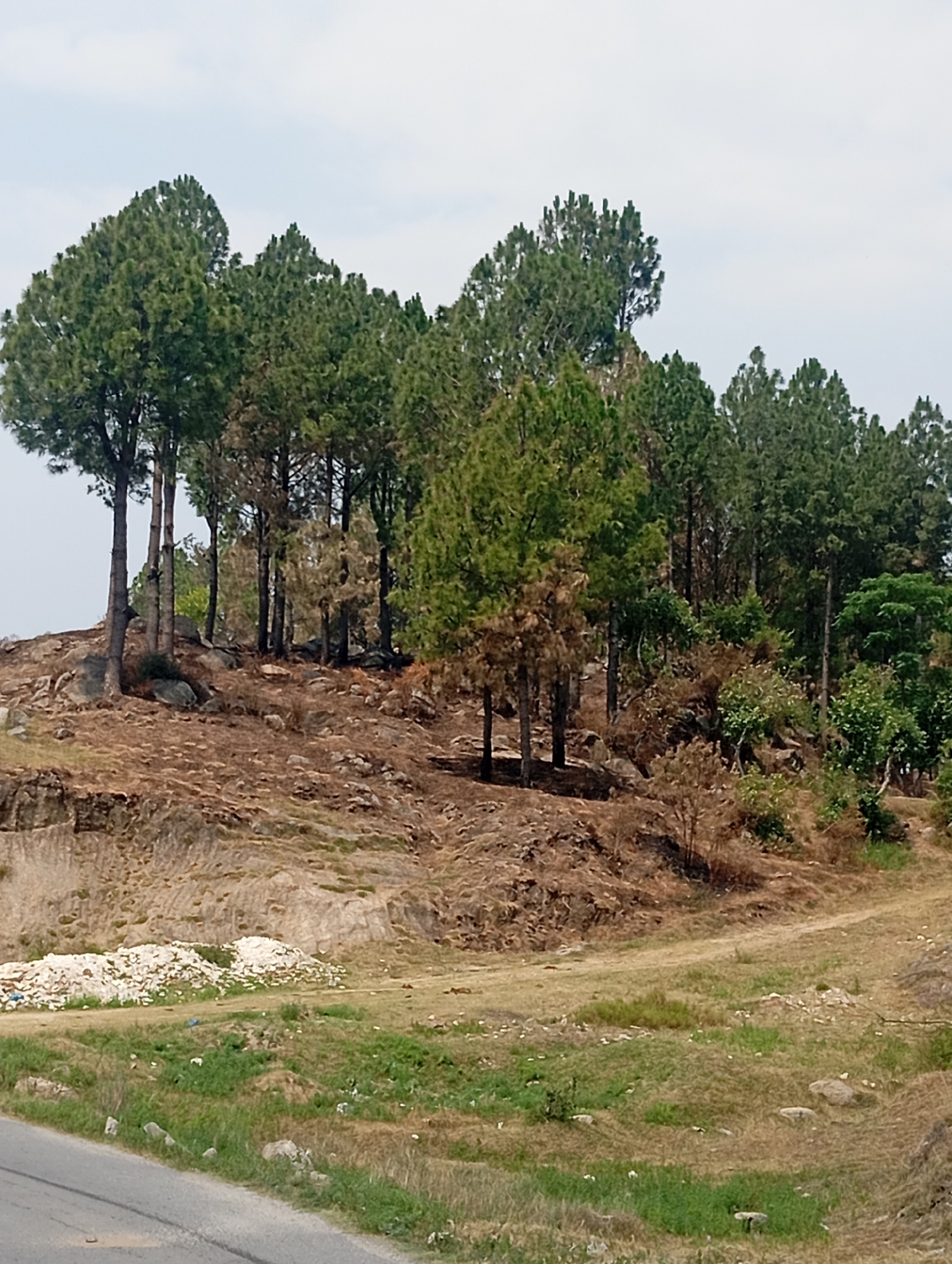 Rural scenes and landscapes around Hakale Pakistan
