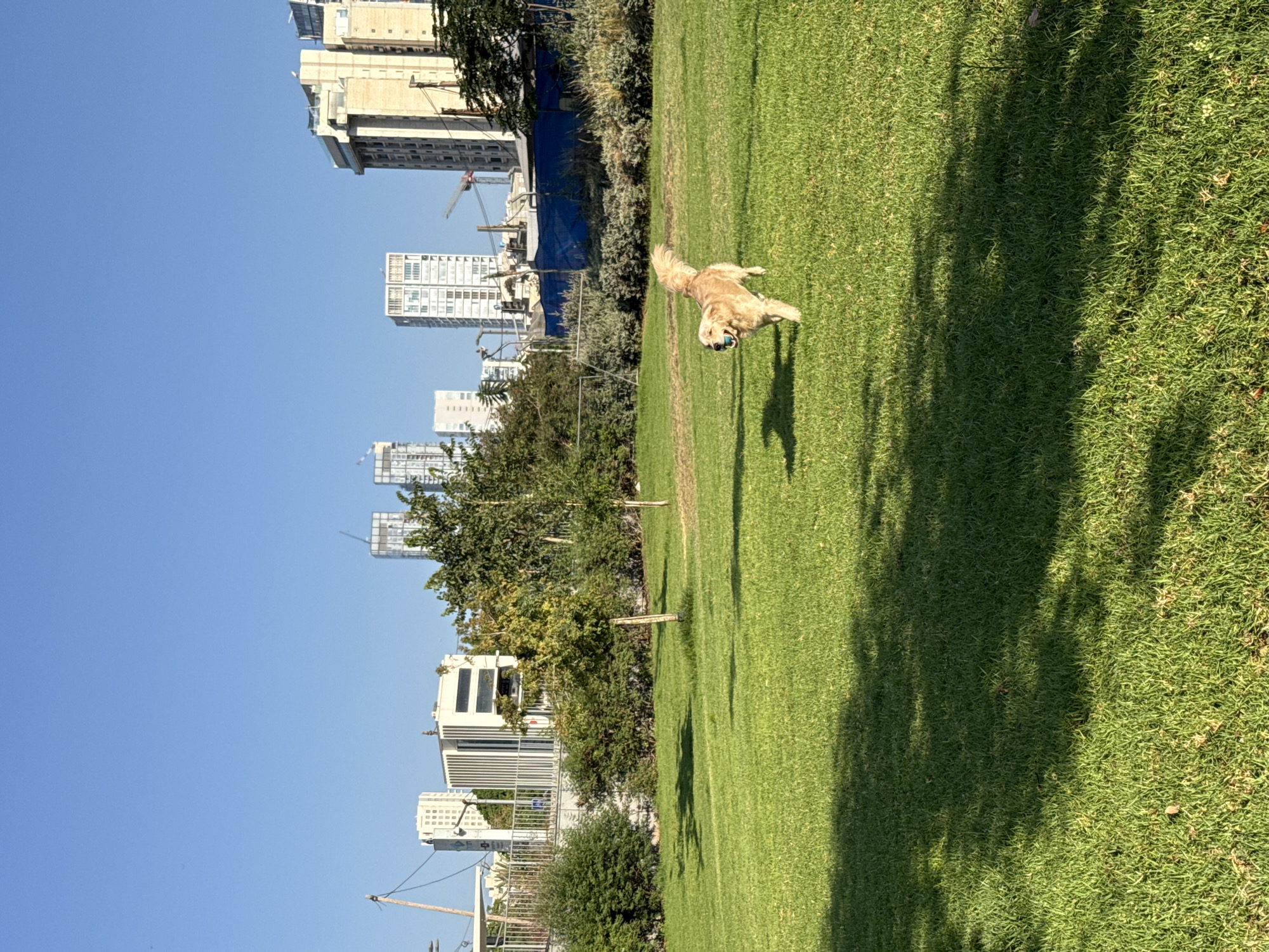 Tel Aviv–Givatayim skyline and street life on a sunny morning