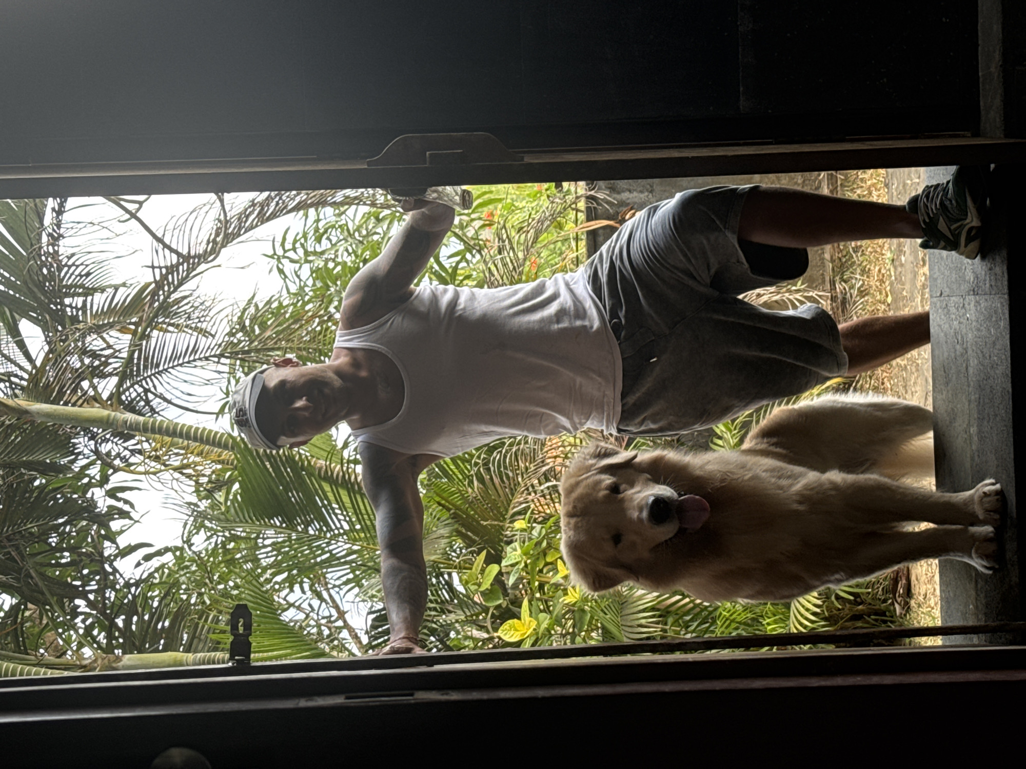 Golden retriever plays and relaxes on a Bali stone path
