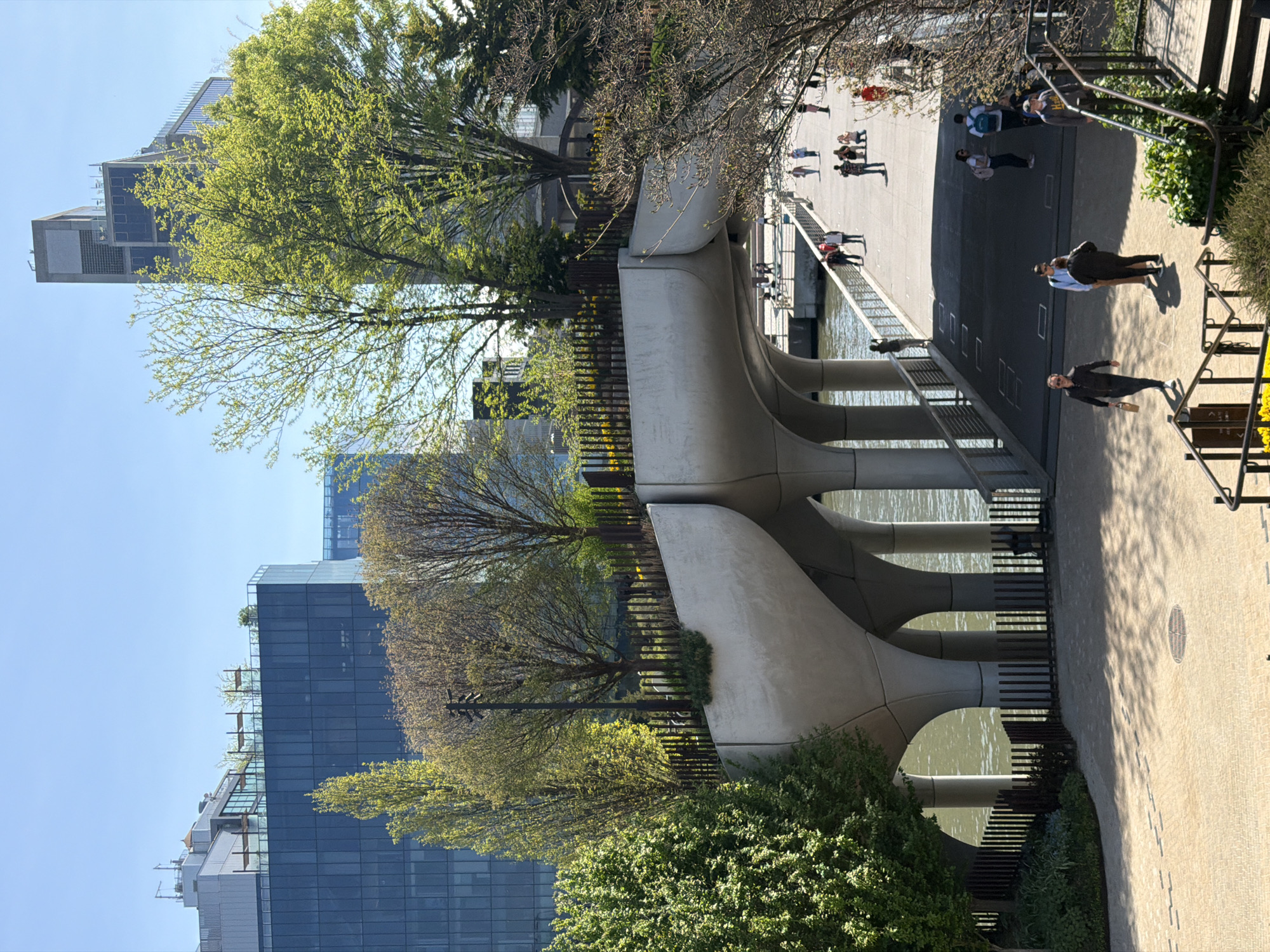 Spring blooms frame NYC skyline views across water