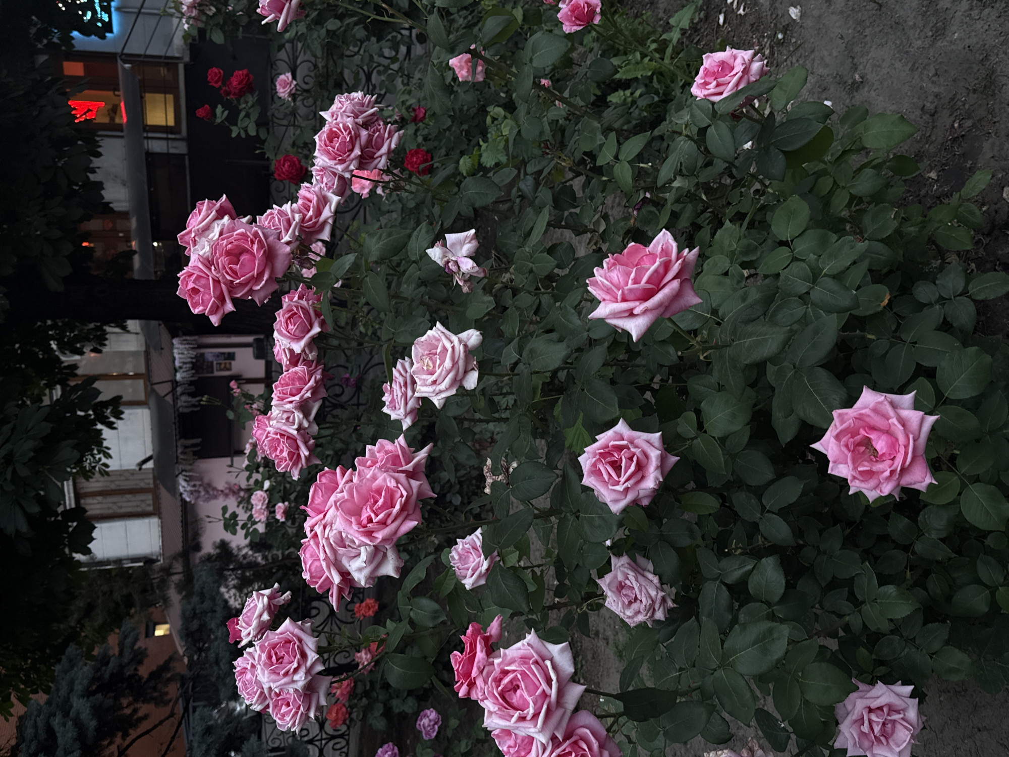Urban photographer documents Dnipro street scenes during afternoon walk