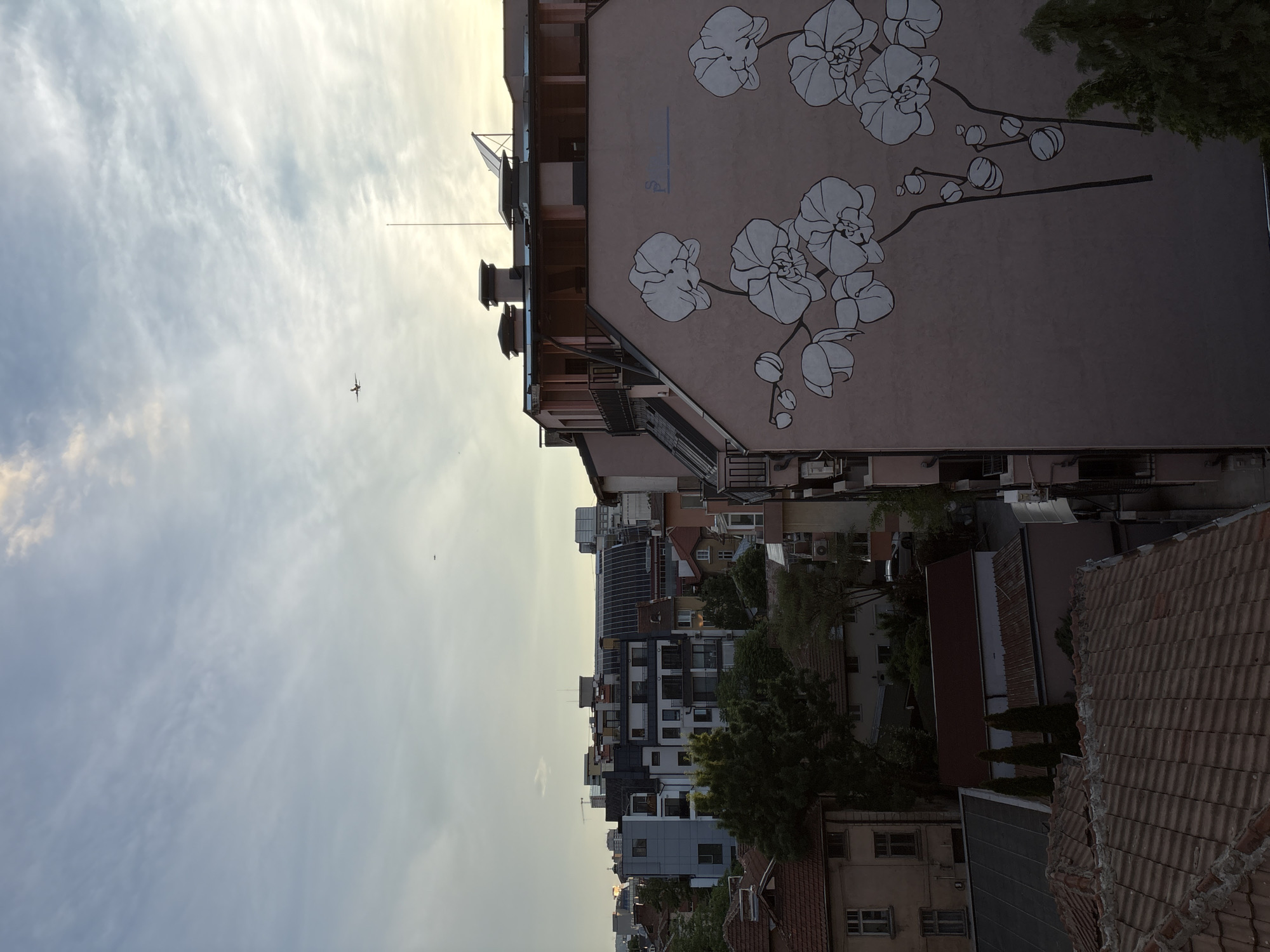 Vivid sunset illuminates Sofia skyline, orchid mural spotted