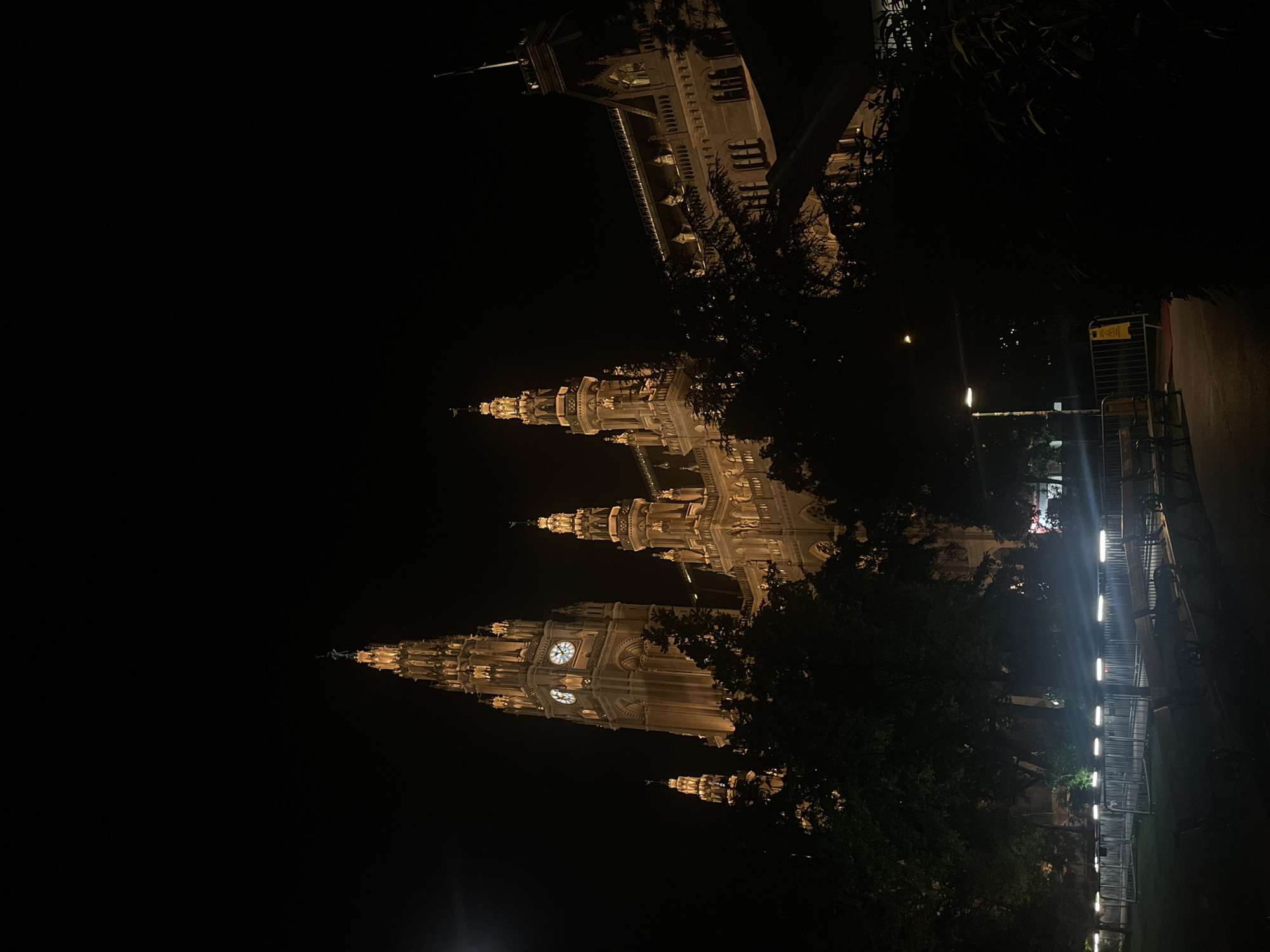 Vienna City Hall illuminated at night attracts selfie-taking visitor