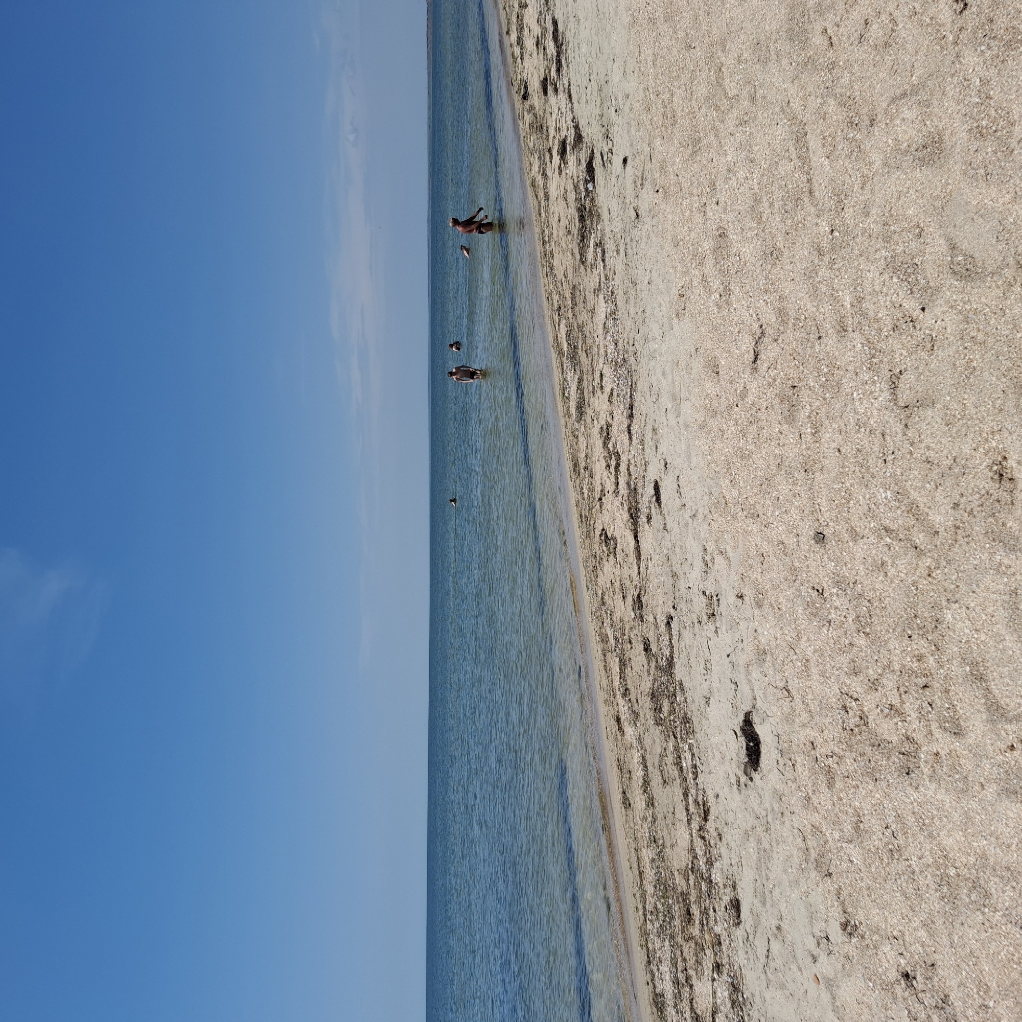 Beach scenes with swimmers and debris documented by witnesses
