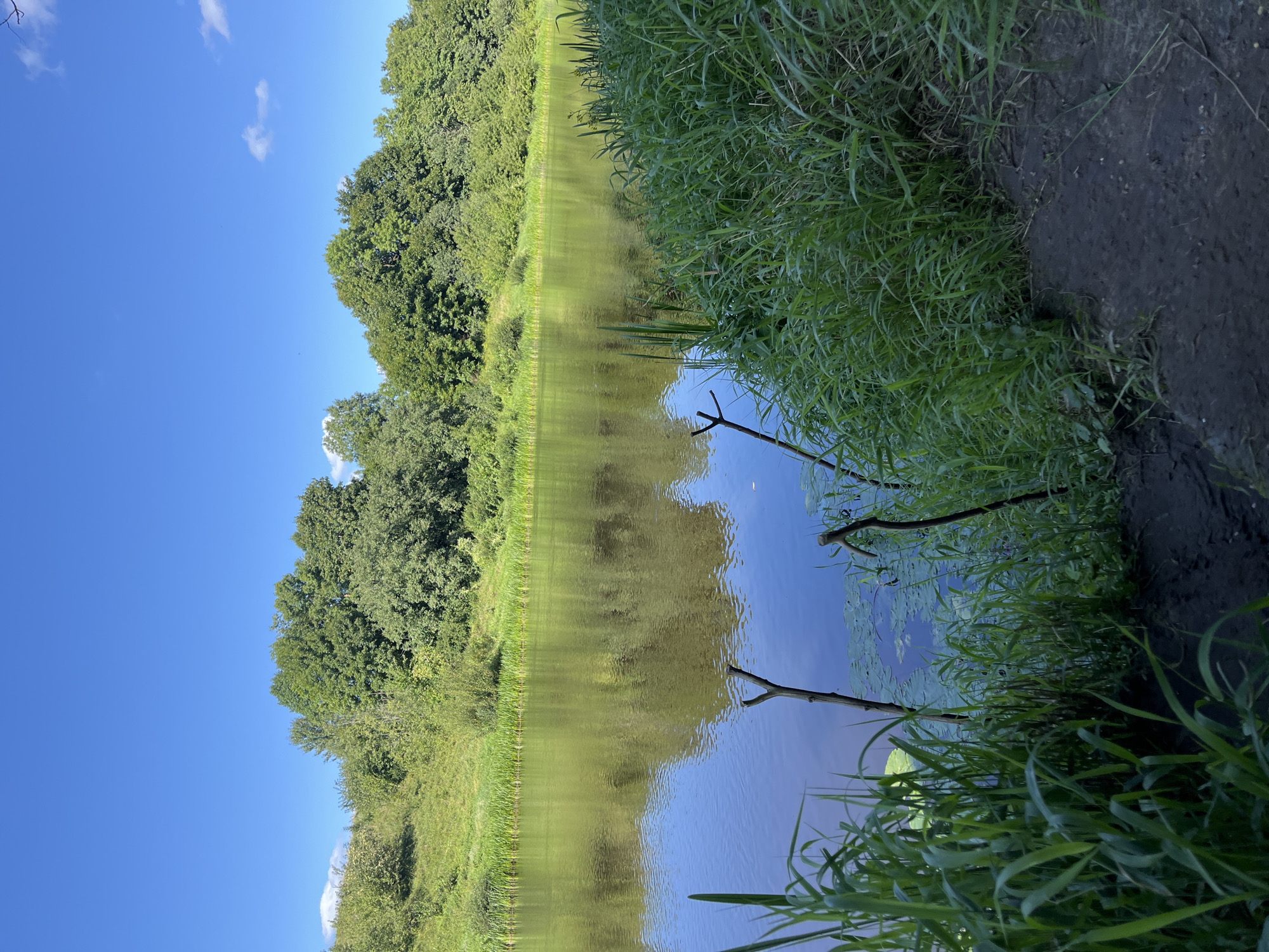 Lazy afternoon by the river in rural Belarus