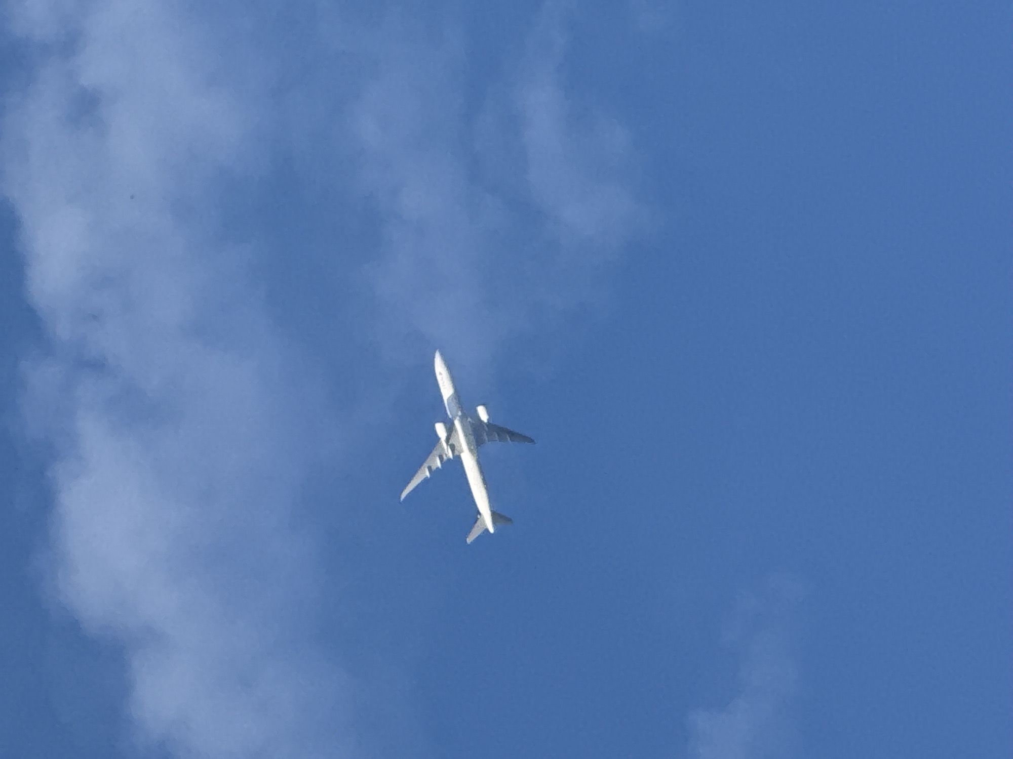 London resident documents neighborhood scenes and overhead aircraft