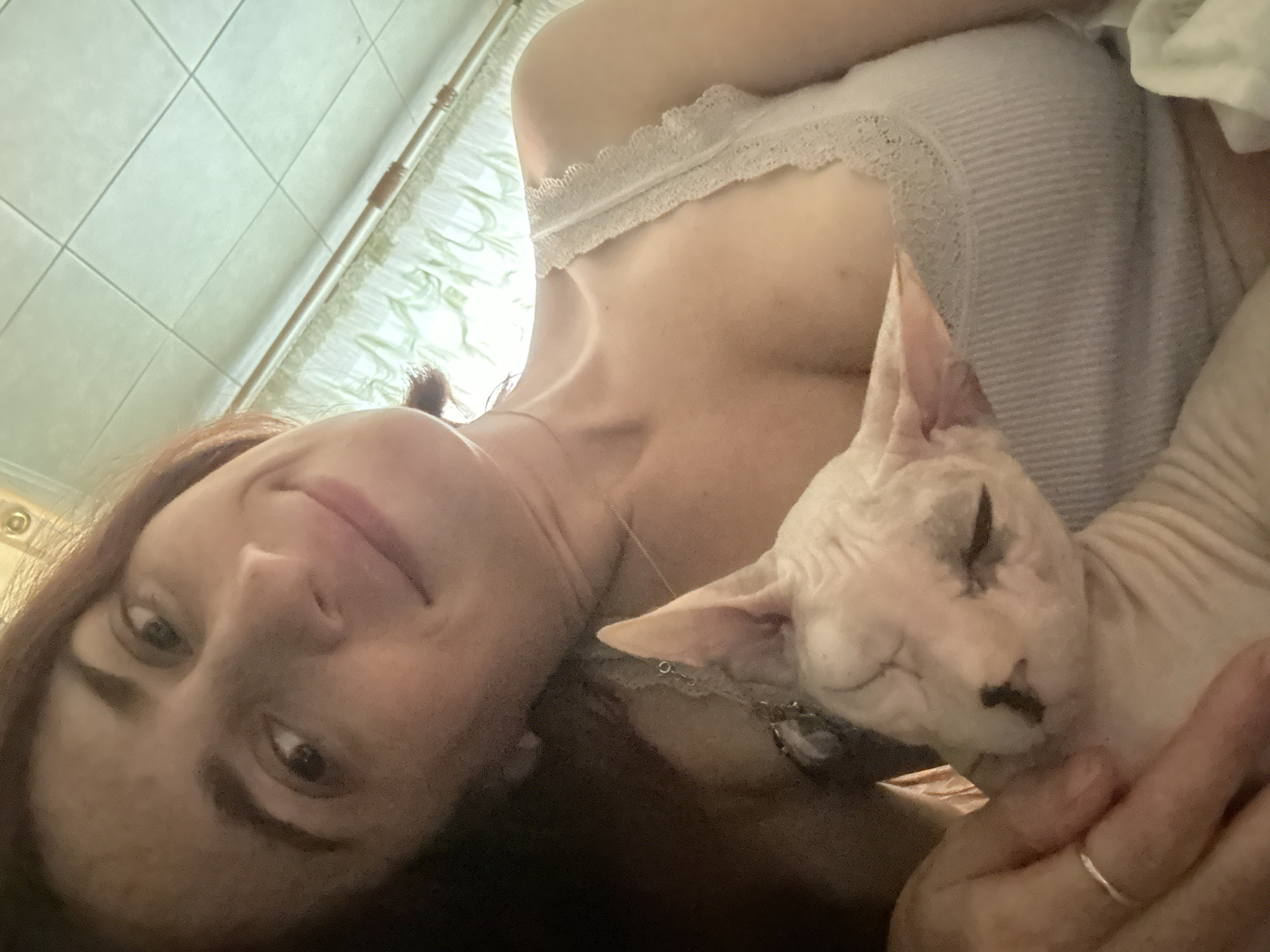 Sphynx cat at home in Togliatti, Russia