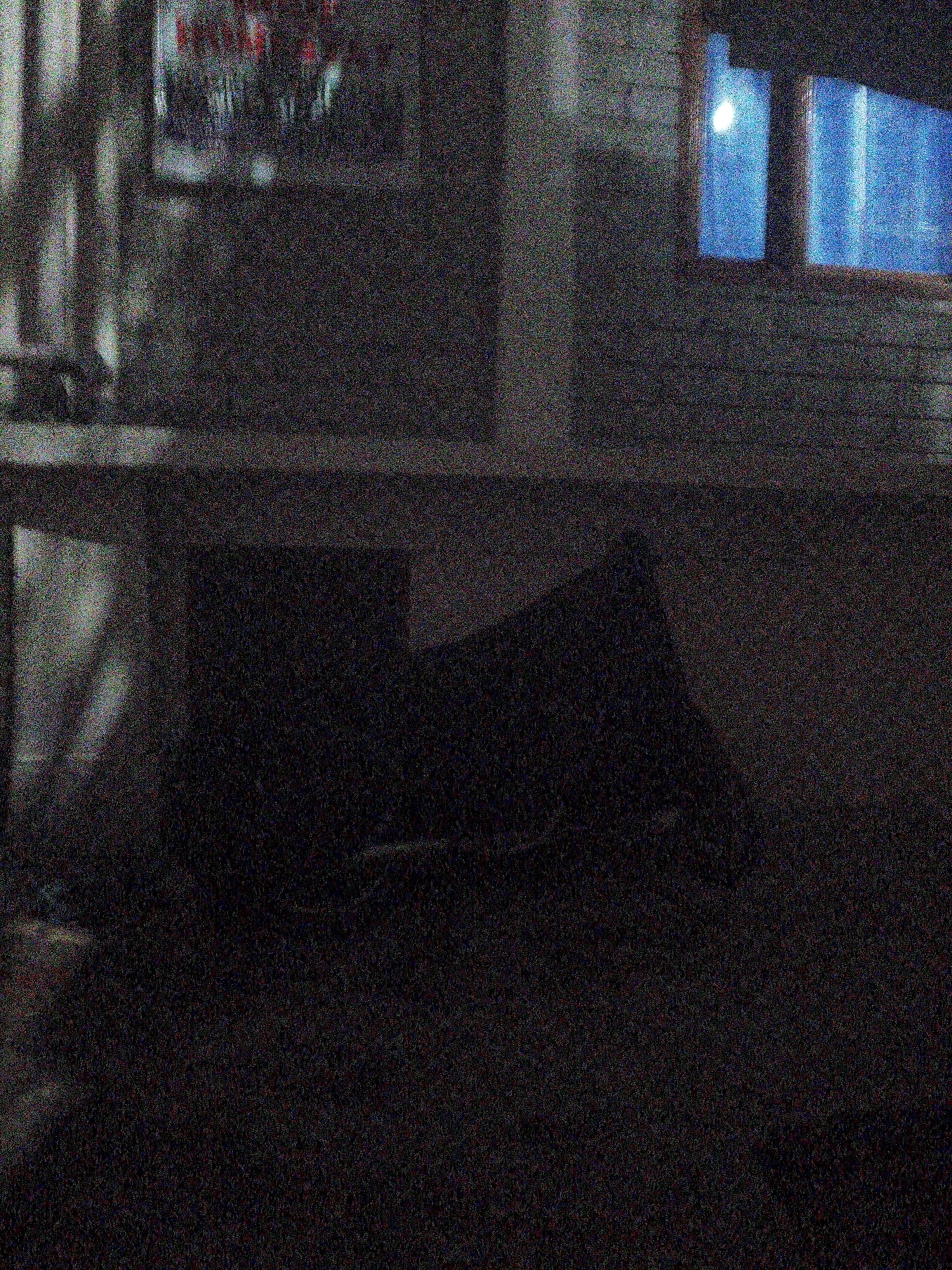A night moving through the lanes and rooms of Vashisht
