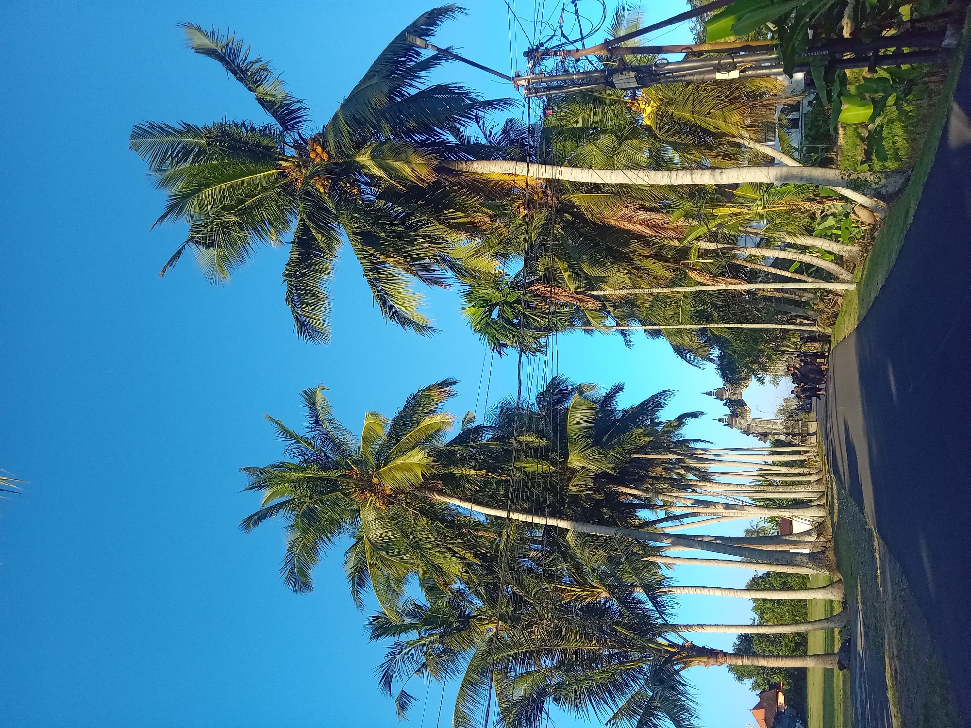 Palm-lined road leads to a Krishna temple in Blahbatuh, Bali