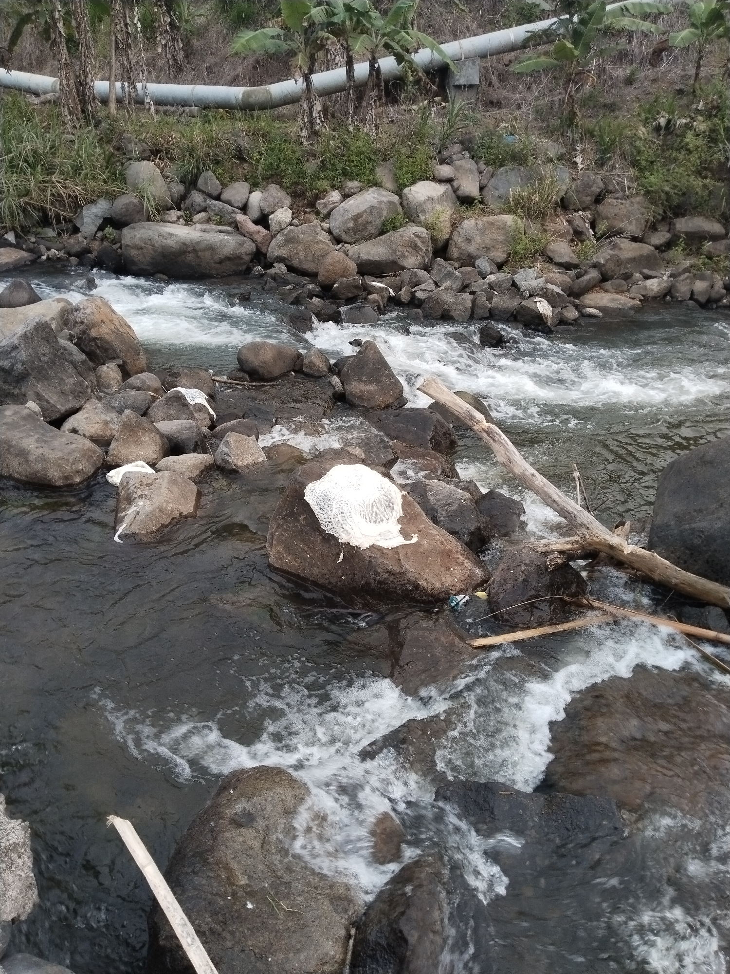 Water infrastructure and natural waterways documented in Ganten, Indonesia
