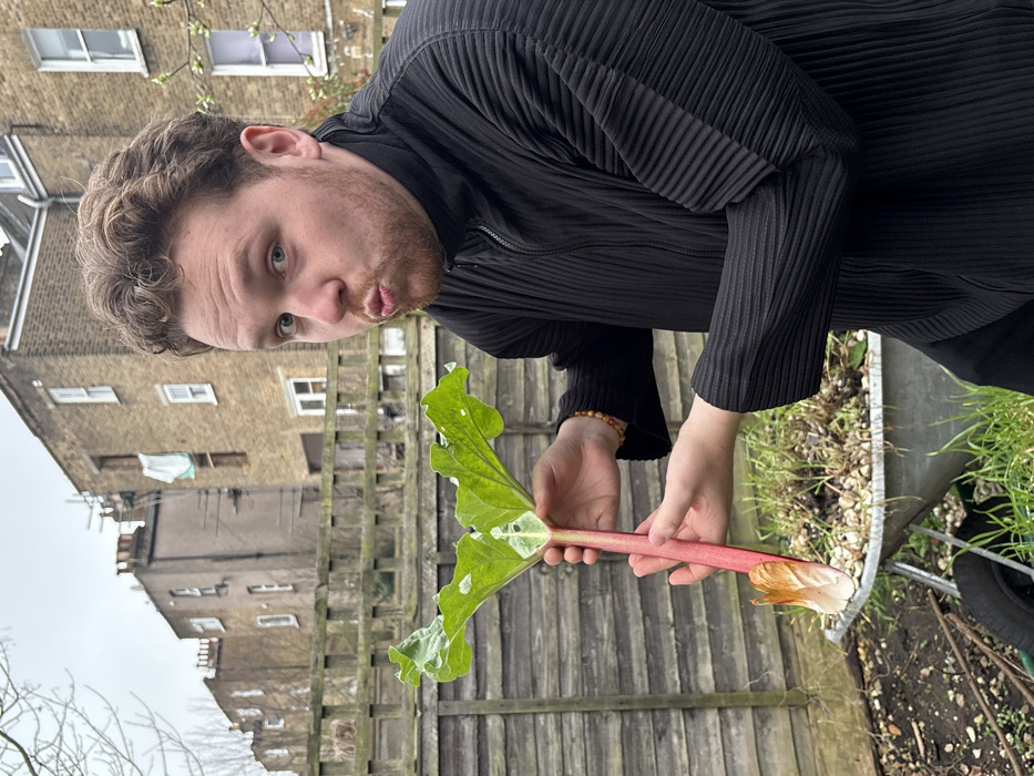 Man observed in London residential garden Saturday evening