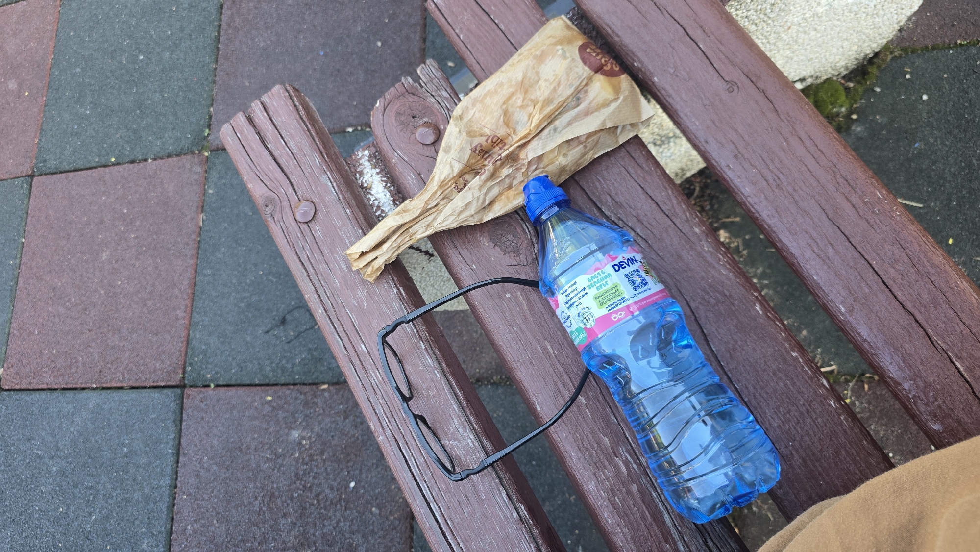 Sofia resident documents park life, pets, and nature scenes
