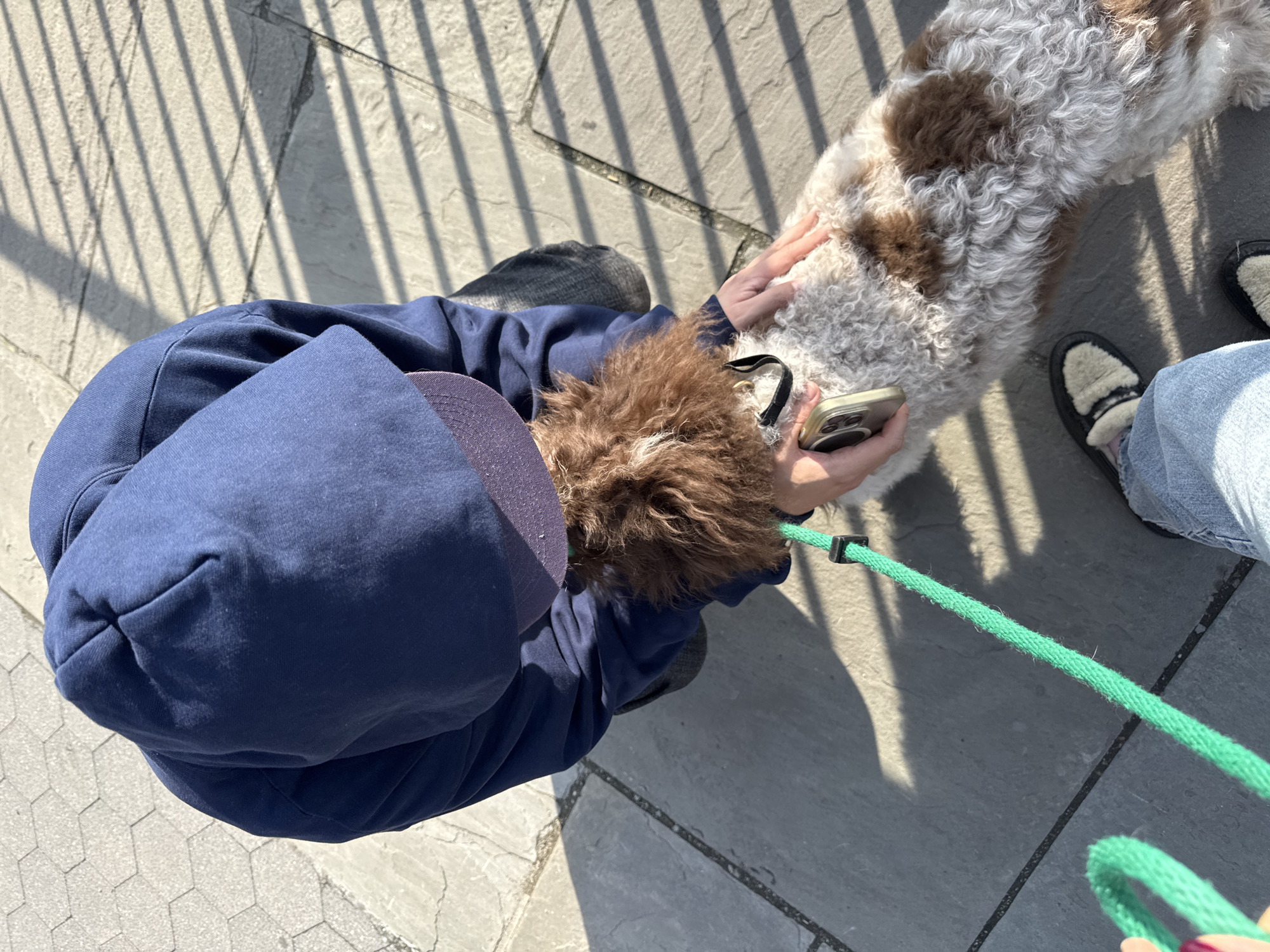 Dog walker spotted near East River with Manhattan skyline backdrop