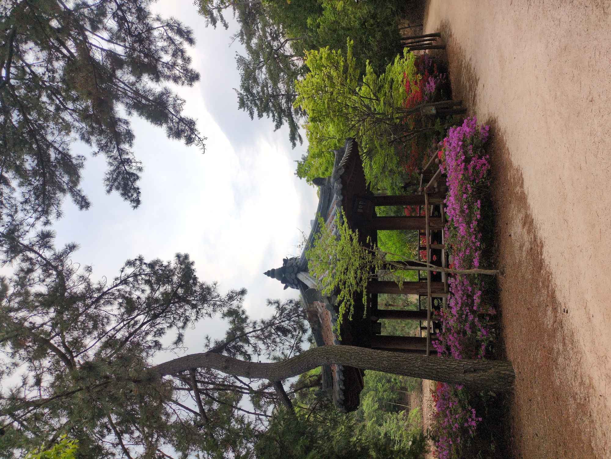 Morning visit to Taehwagang National Garden in Ulsan documented