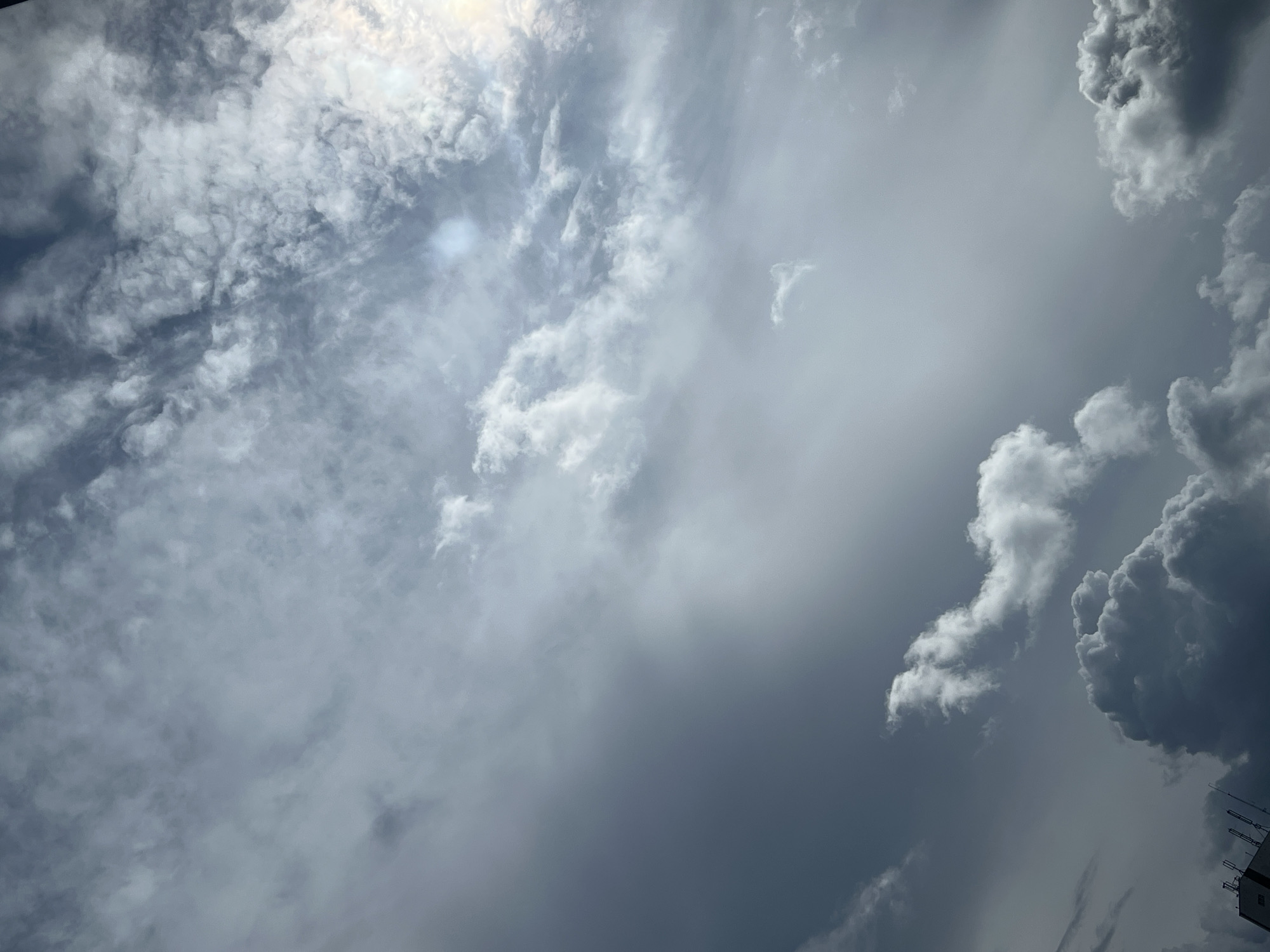 Warsaw skies tracked through a shifting afternoon of clouds and birds
