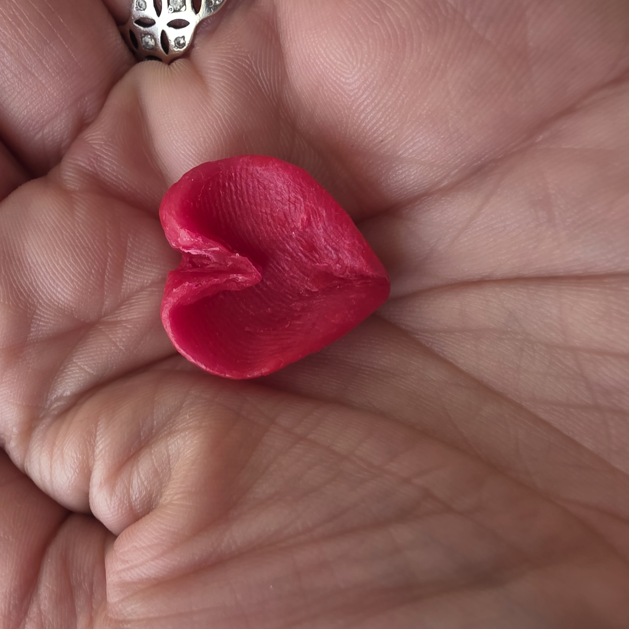 Person holds red heart-shaped object in Zheleznitsa, Bulgaria