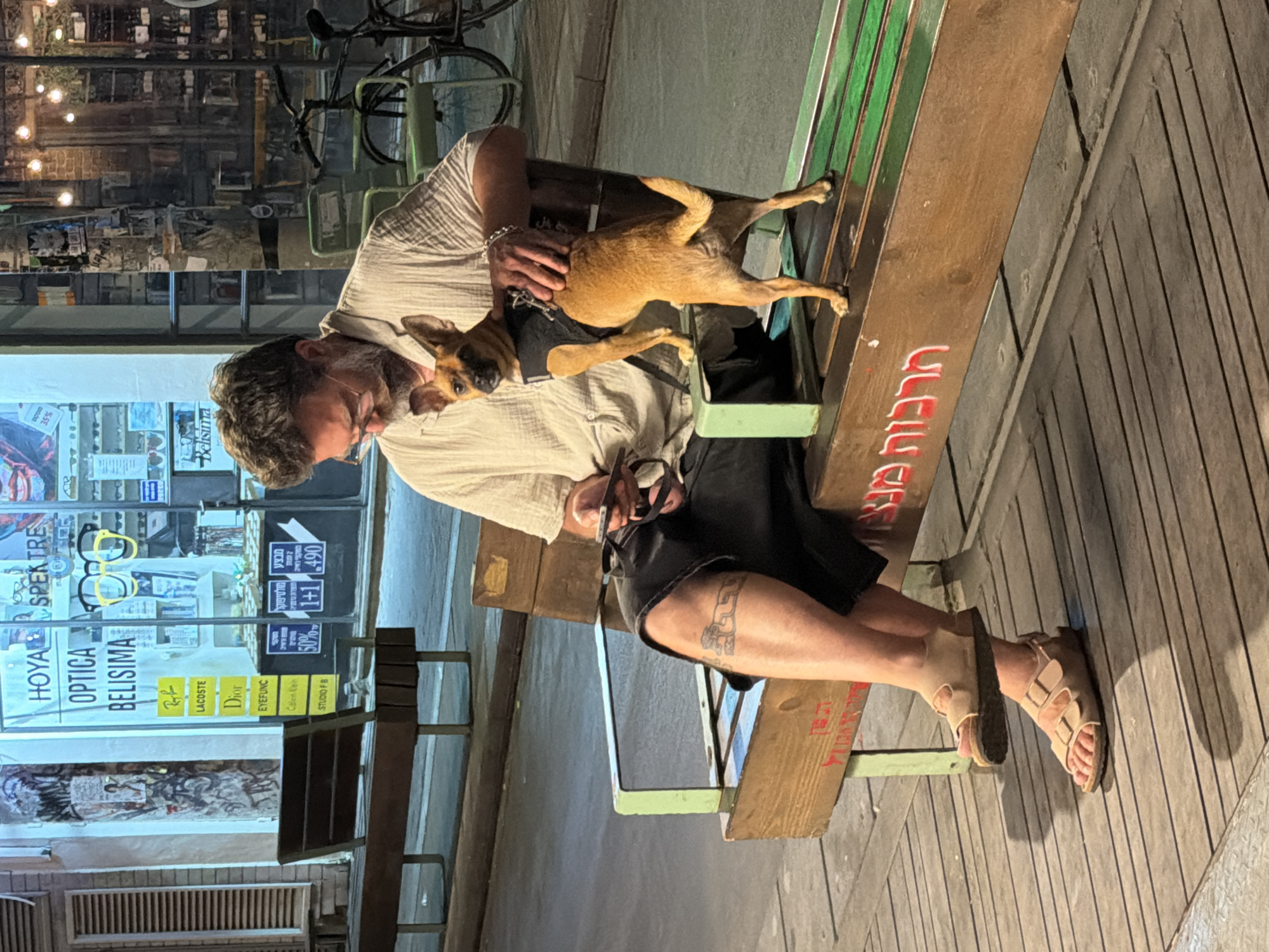 Dogs, benches, and art galleries in Tel Aviv