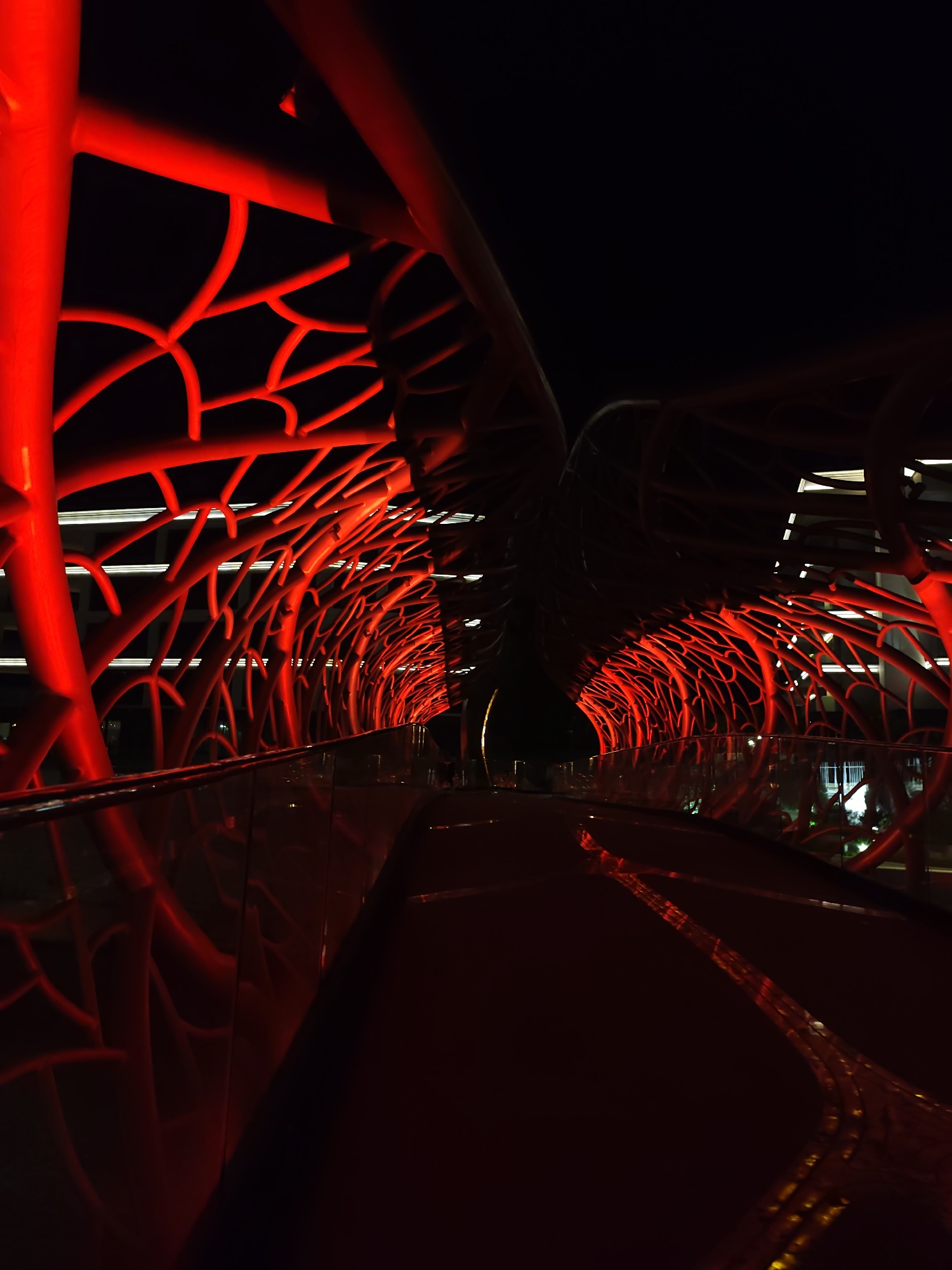 Sochi beach club glows with neon lights and cactus sculptures at night