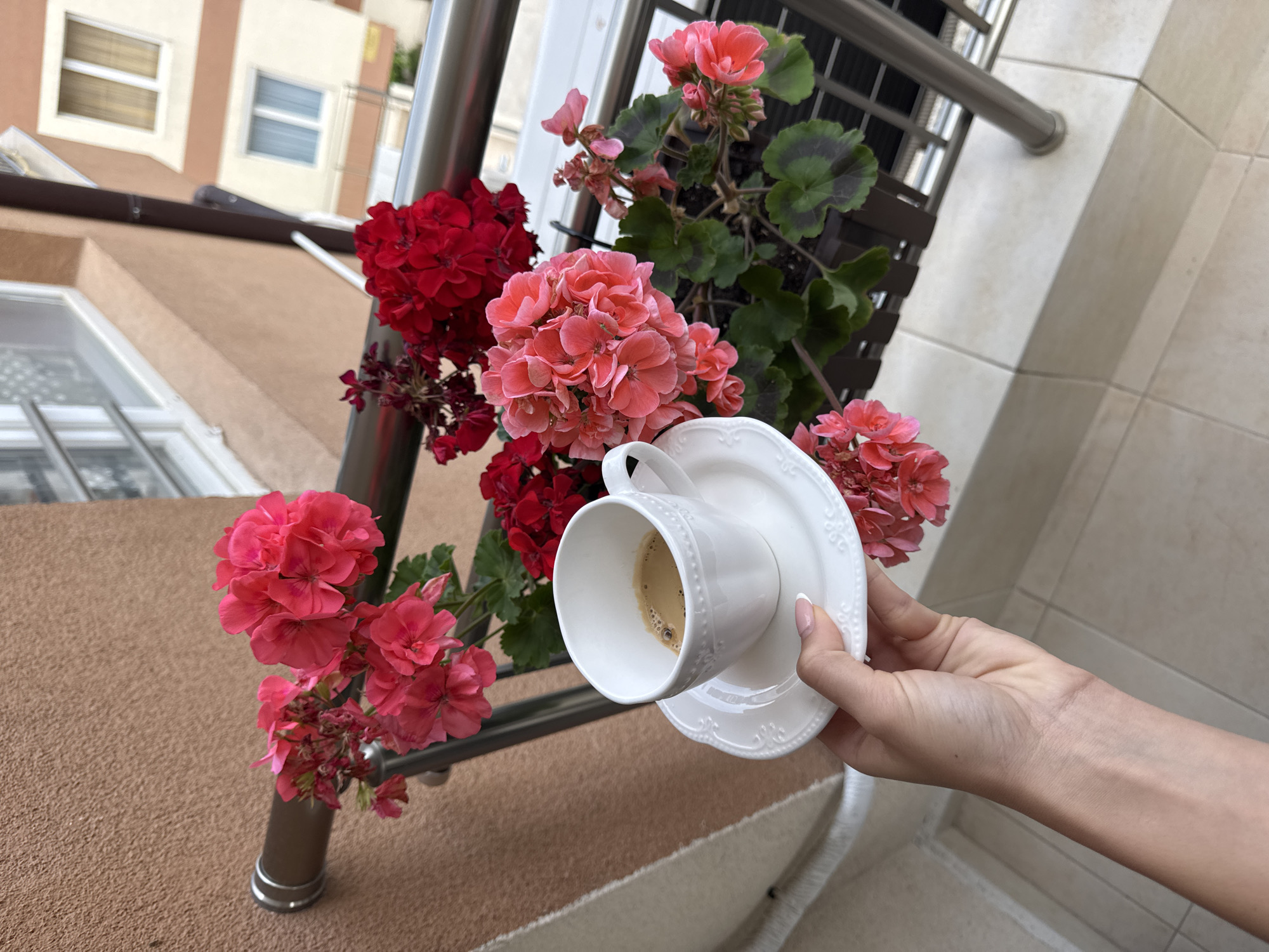 Coffee break captured amid flowers on Burgas windowsill