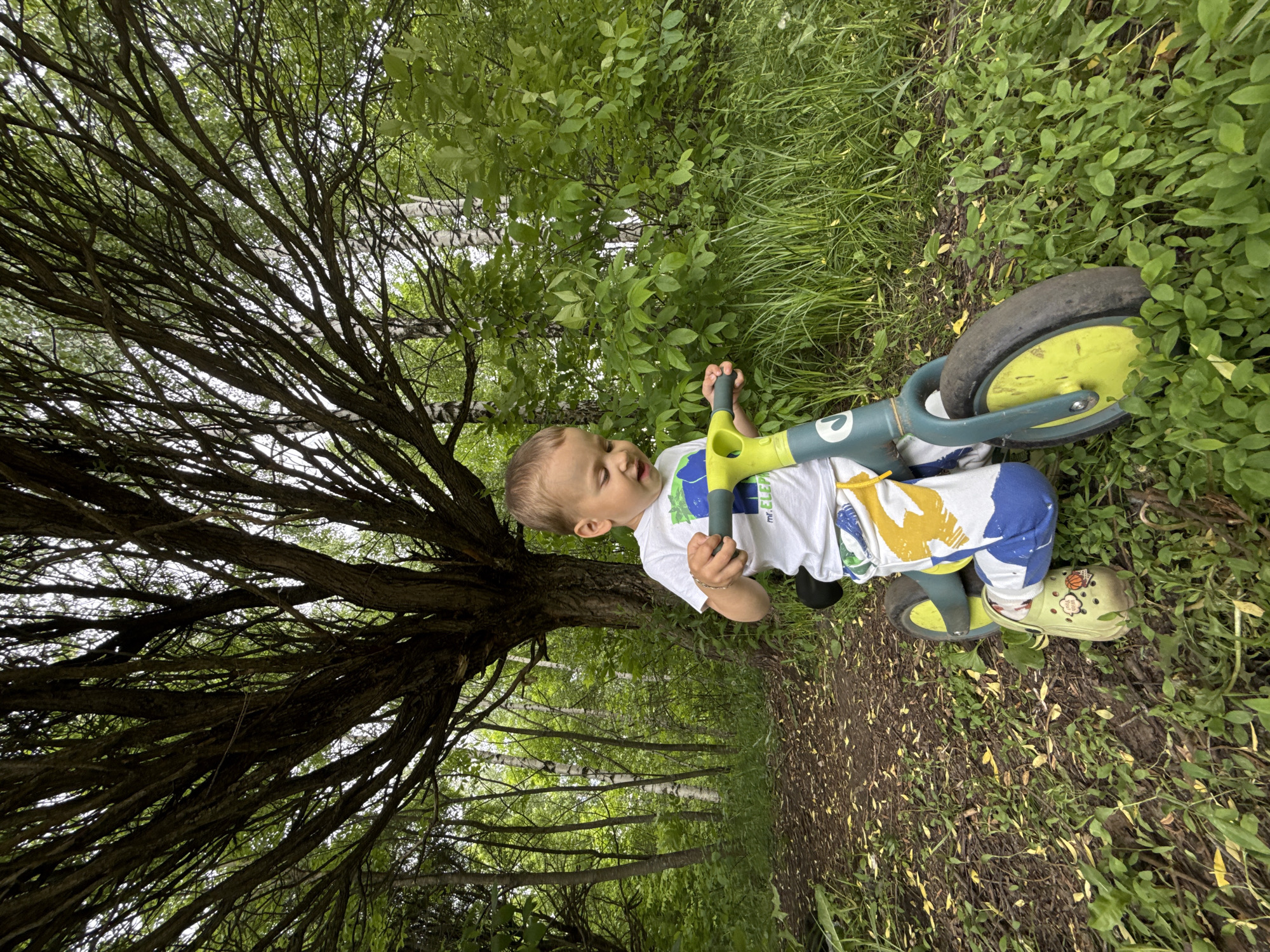 Mother and toddler photographed on woodland path