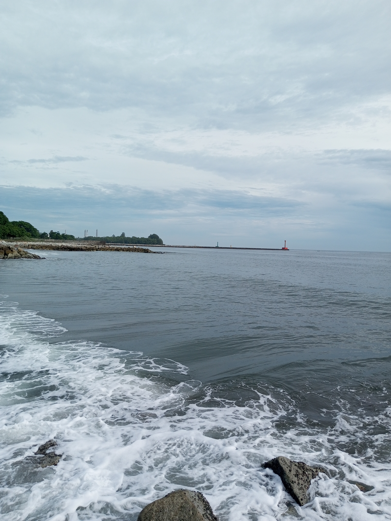 Coastal wildlife and debris documented during overcast morning