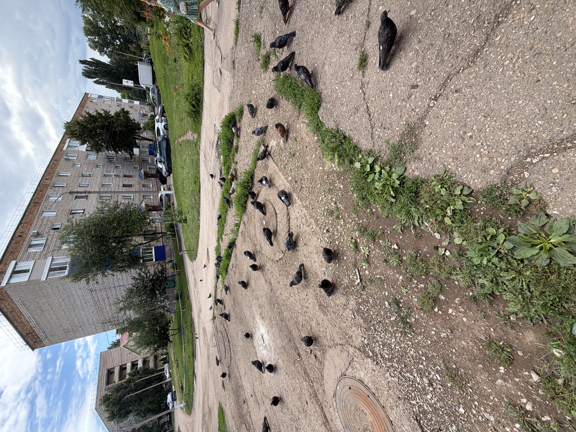 Morning walk through Tujmazy's streets and garden beds
