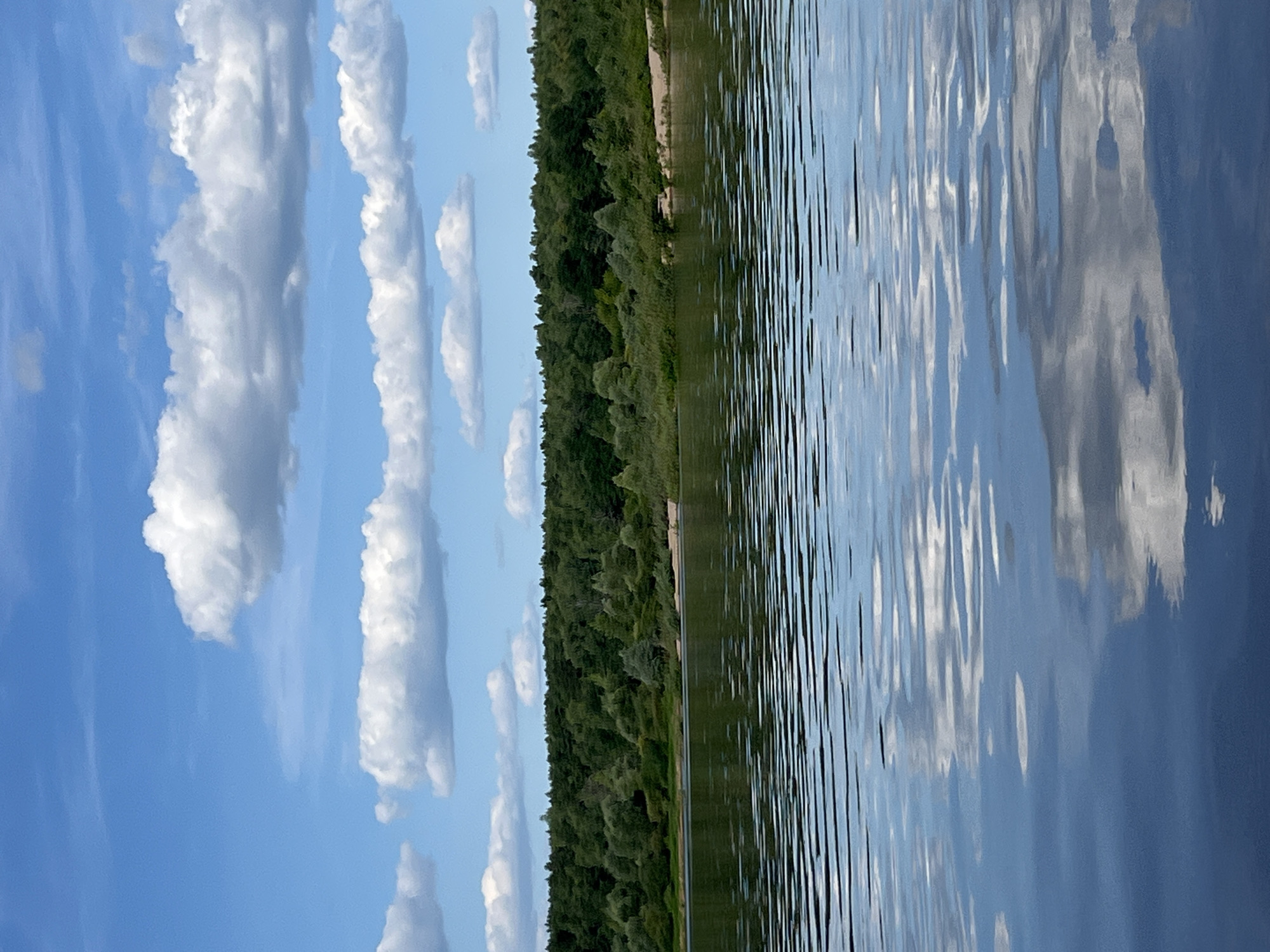 Calm waterway meets dense forest near Ust'-Liuga, Russia