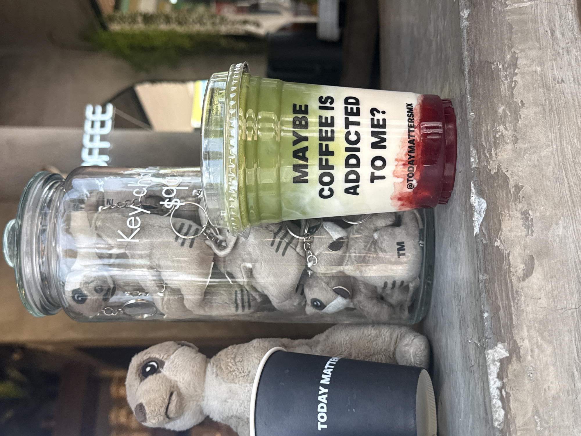 Coffee shop scenes captured showing beverage display and barista
