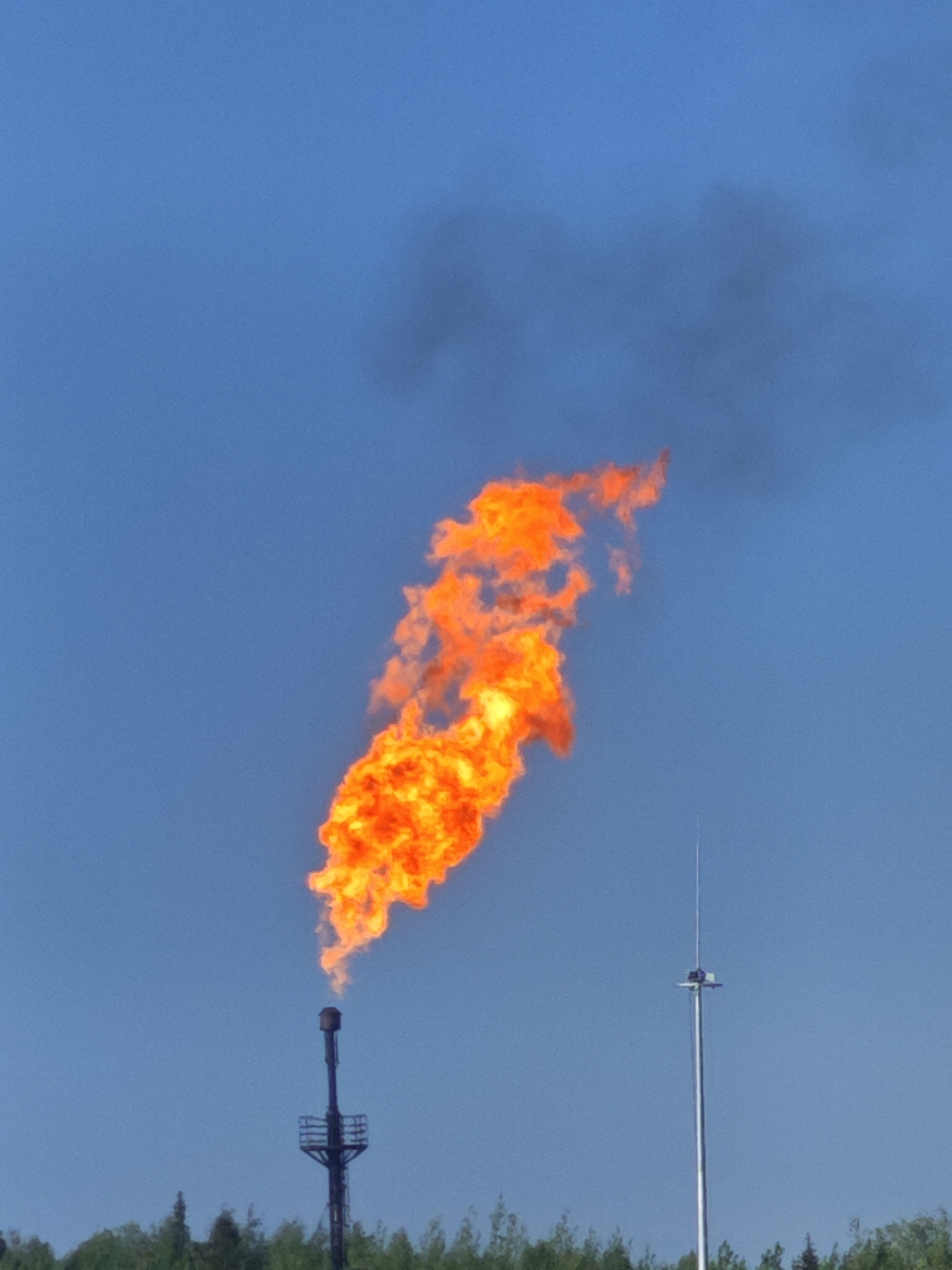 Industrial flare and crane fly macro photography session