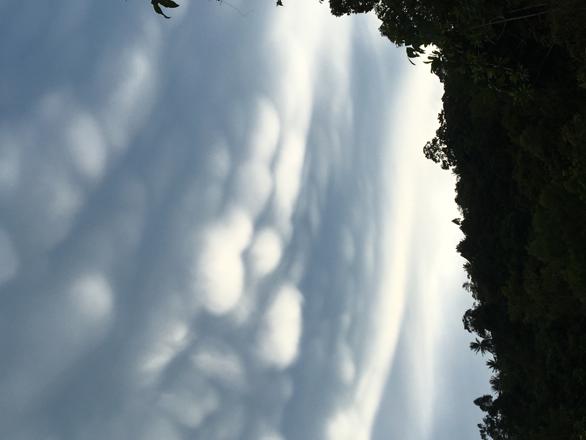 Rare mammatus clouds spotted over Ban Tai Subdistrict, Thailand