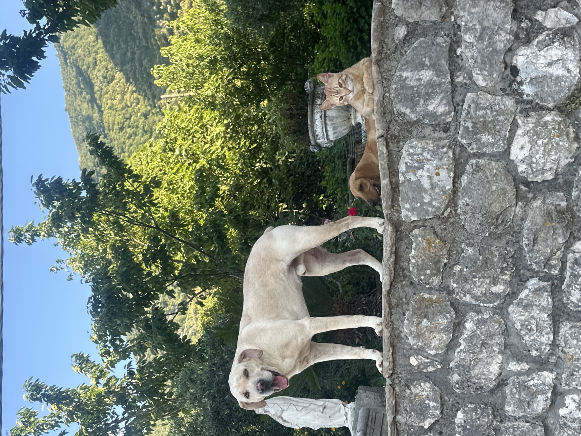 Coastal scenes documented in Prčanj, Montenegro during sunny afternoon