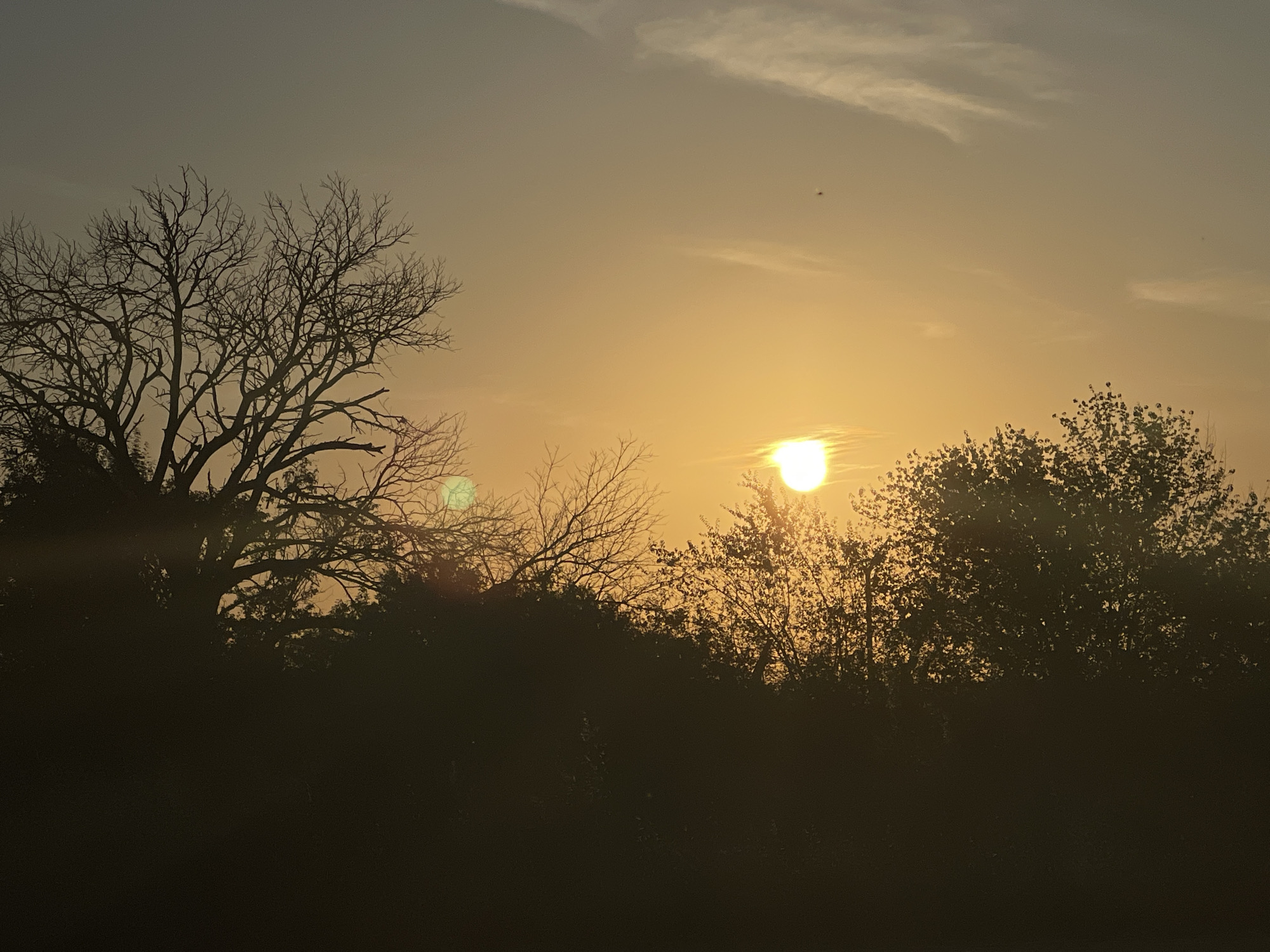 Bare trees silhouetted against a warm sunset near Nesebar