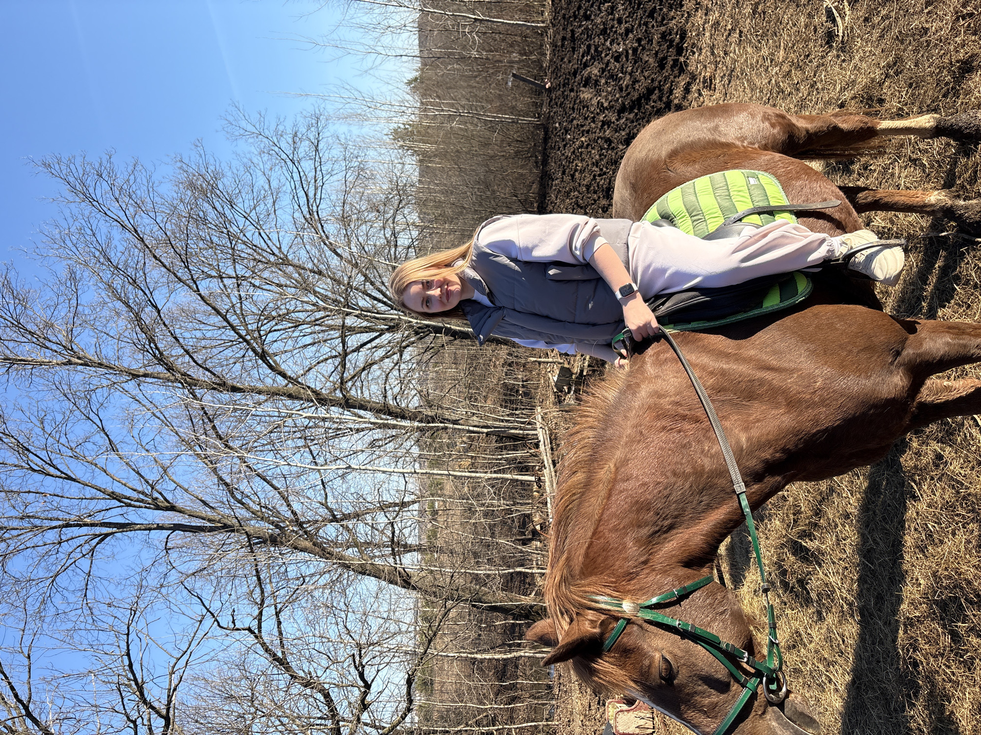 Horseback riding session documented in rural Noviy, Russia