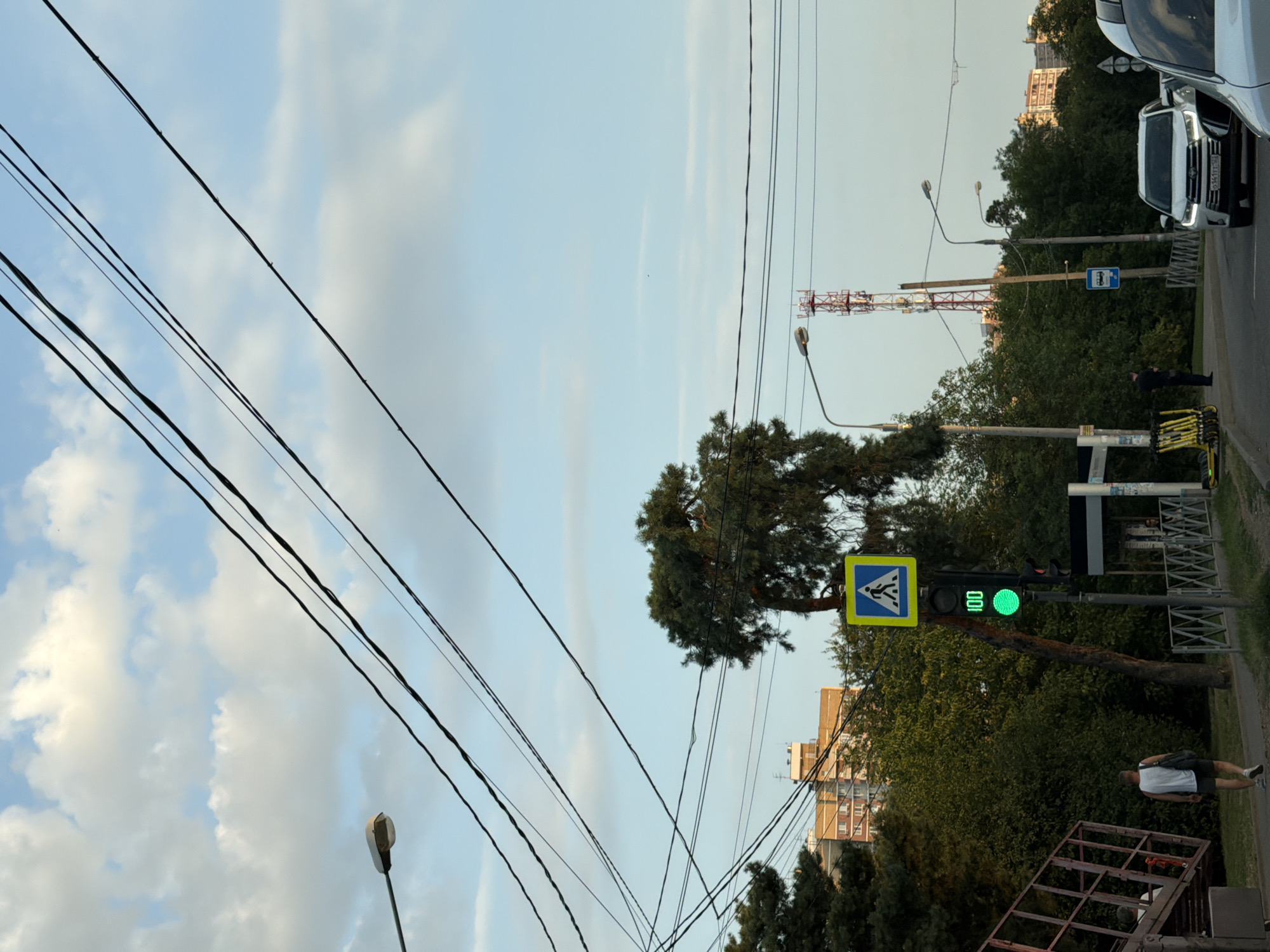 Trams, street dogs, and market stalls on a summer afternoon