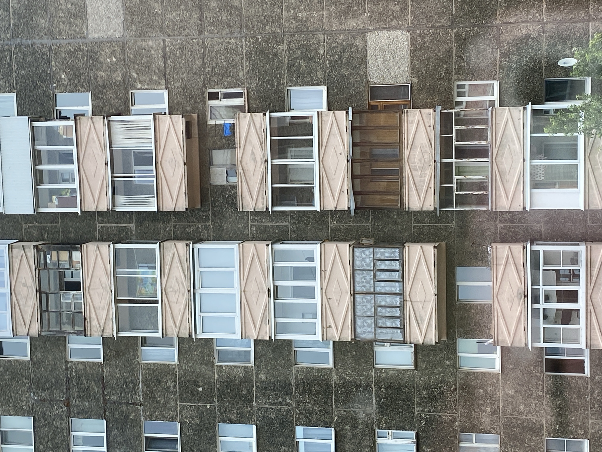 Cats dominate a quiet morning in a Votkinsk apartment