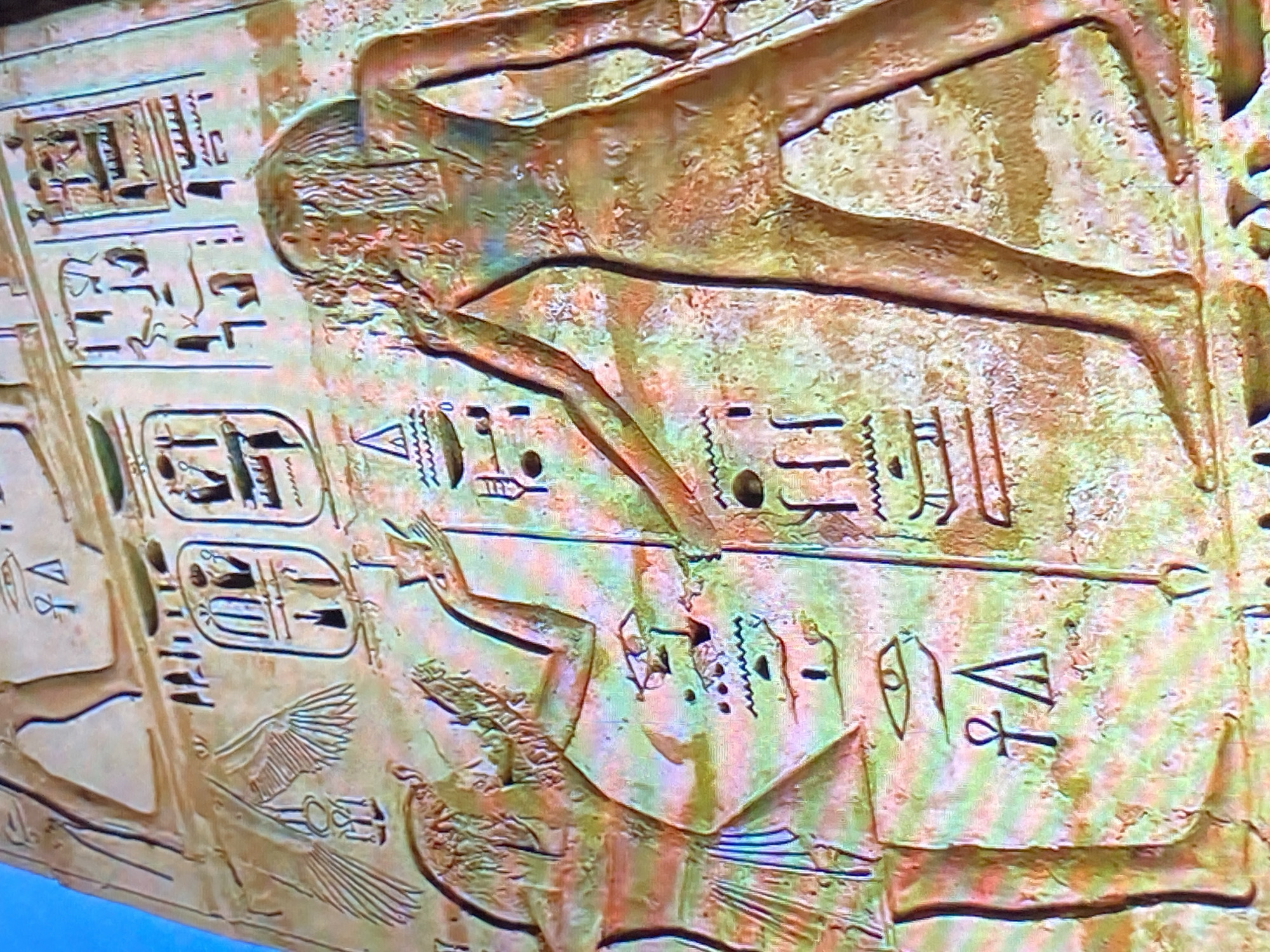 Egyptian reliefs and mountain landscapes documented in Tinaquillo