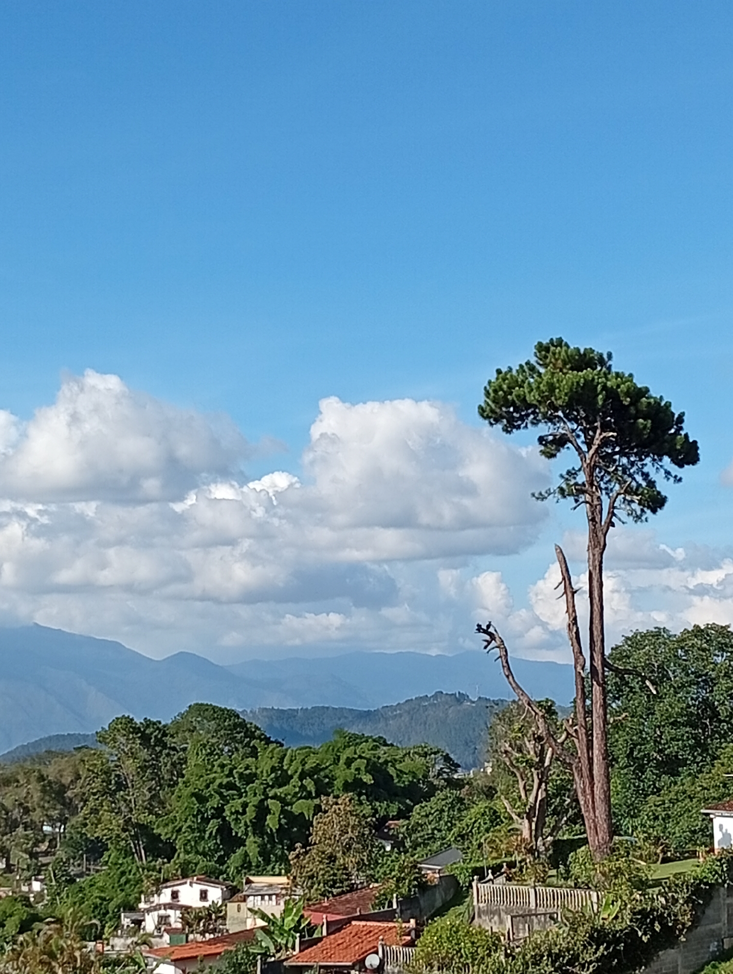Hillside neighborhood views from San Antonio de Los Altos, Venezuela