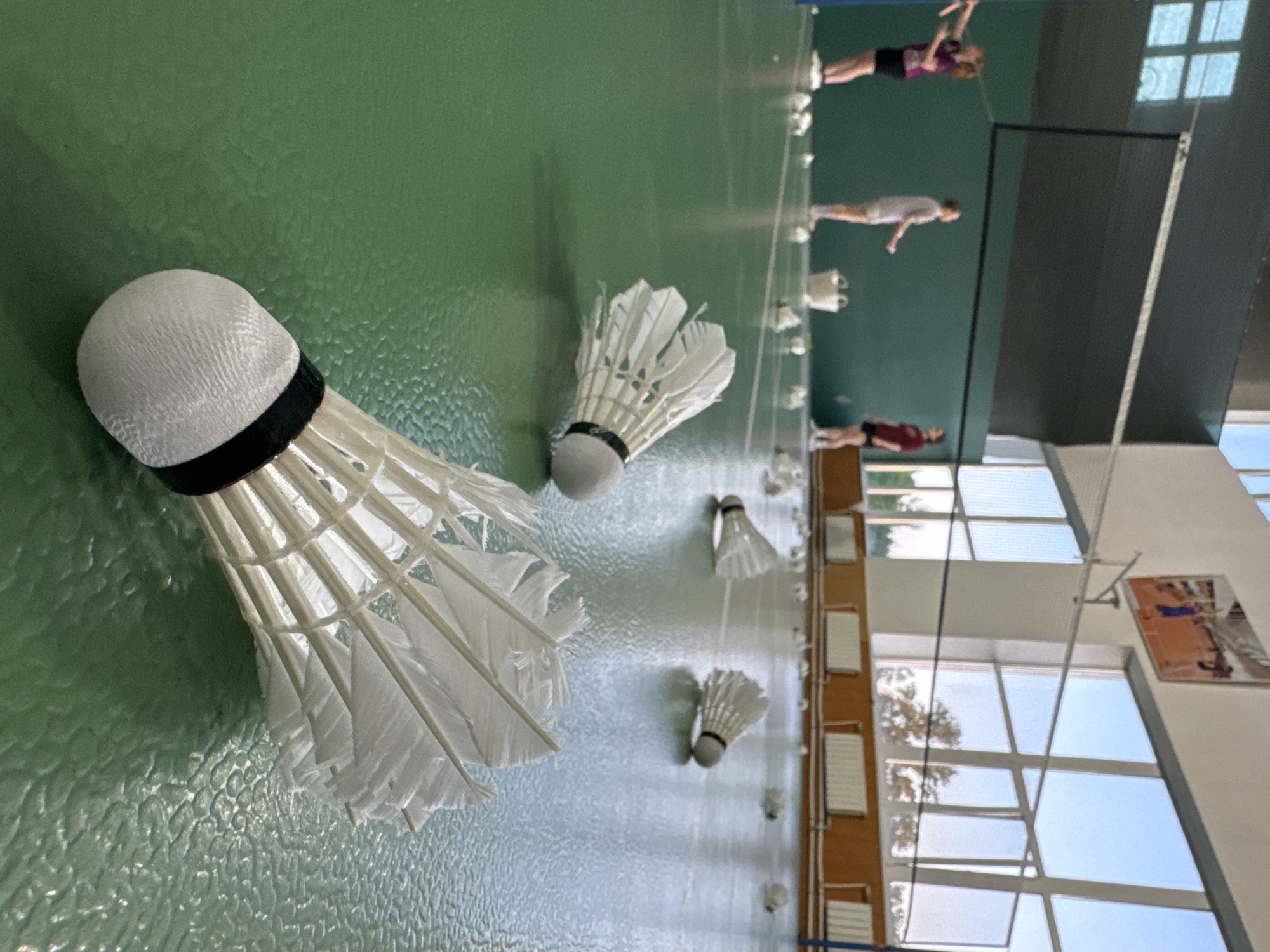 Badminton training session observed at Saint Petersburg sports facility