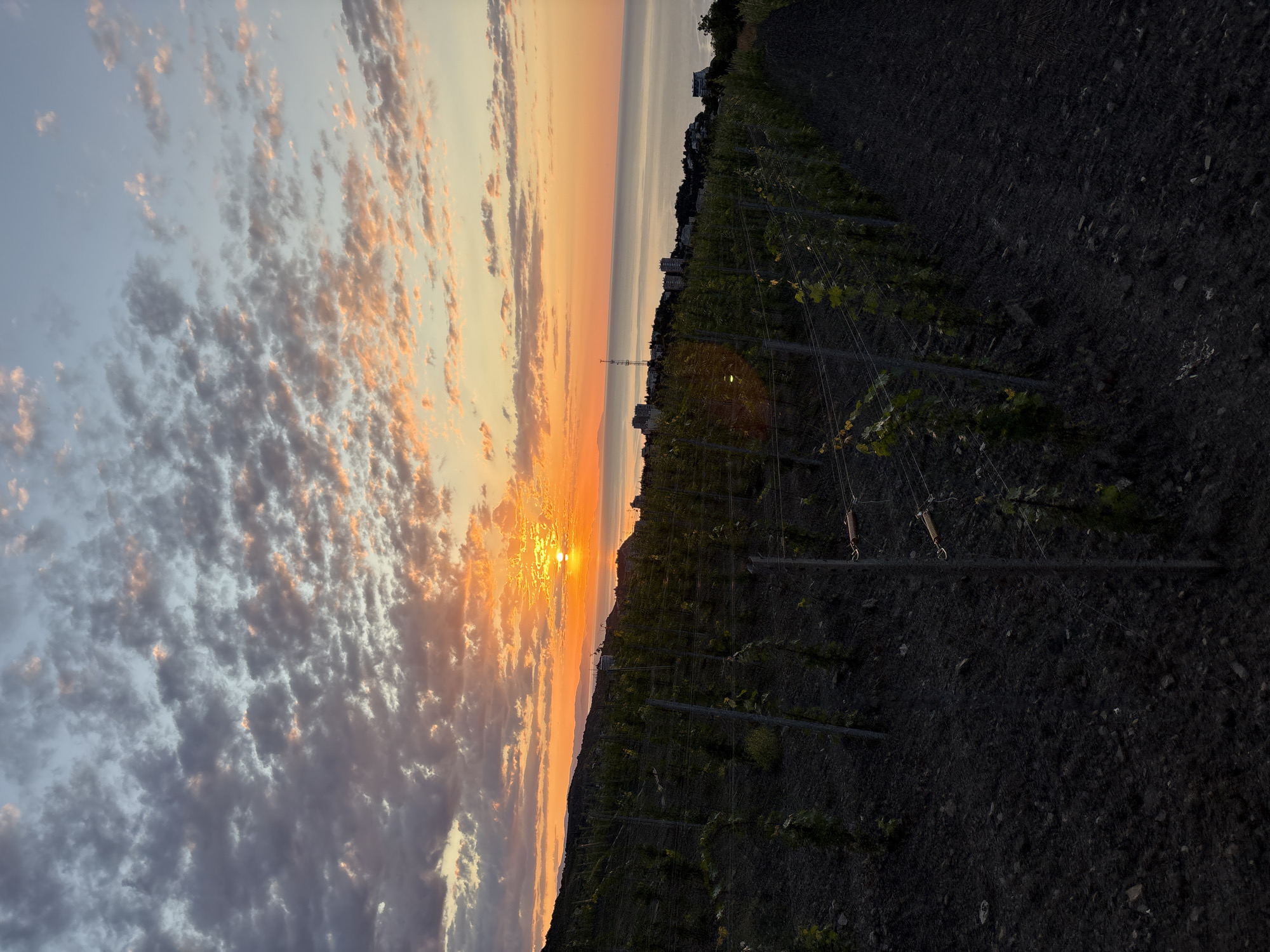 Sunrise stop at a Crimean coastal vineyard overlook