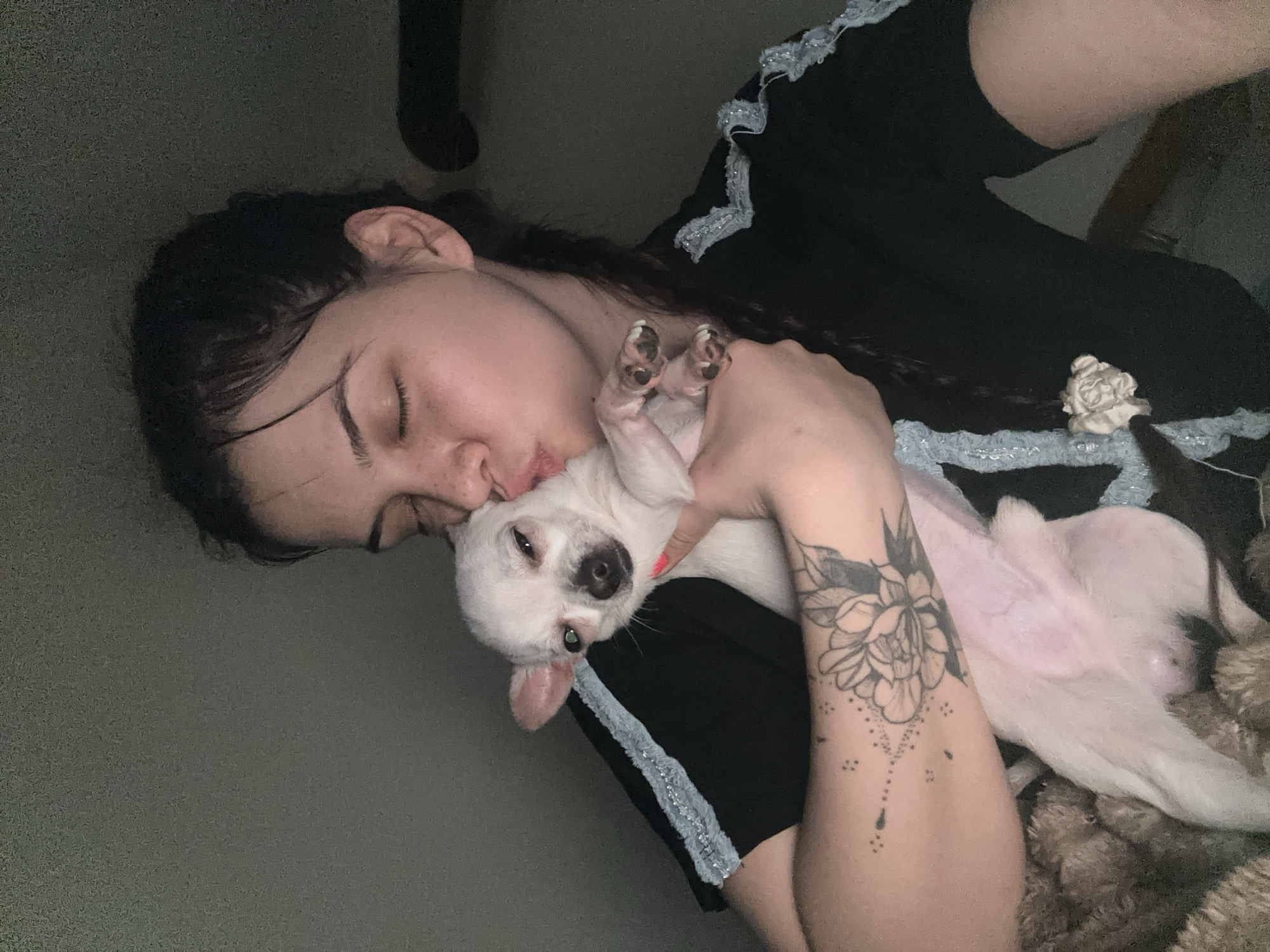 Woman and Chihuahua share quiet moment in Bulgarian bedroom