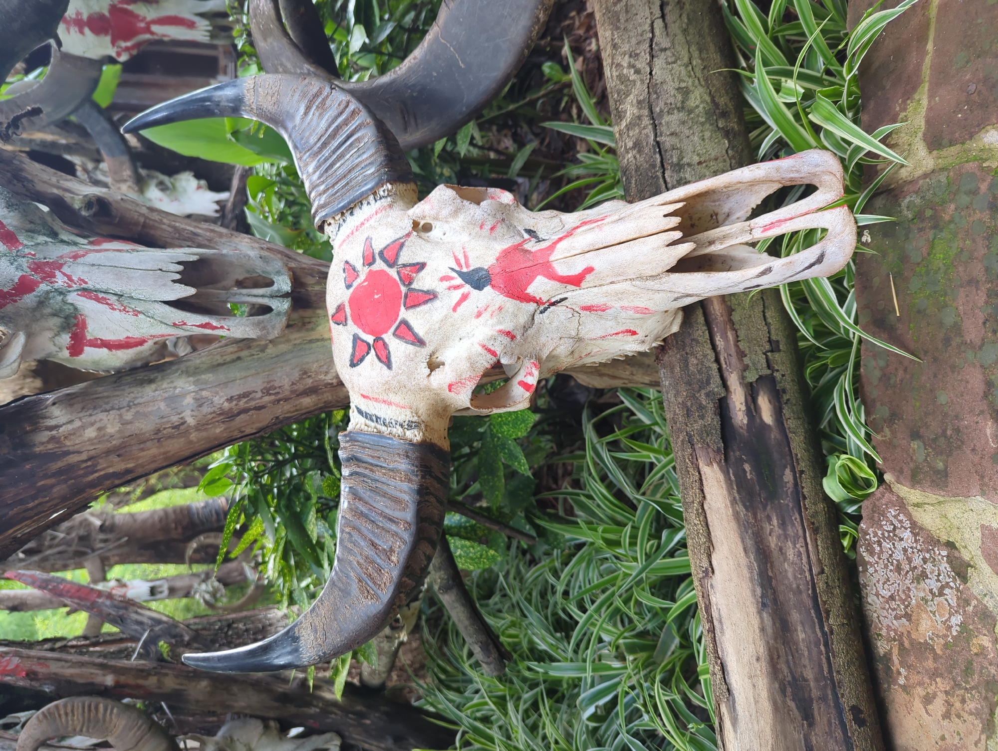 Decorated buffalo skulls and textiles at a Xishan cultural display