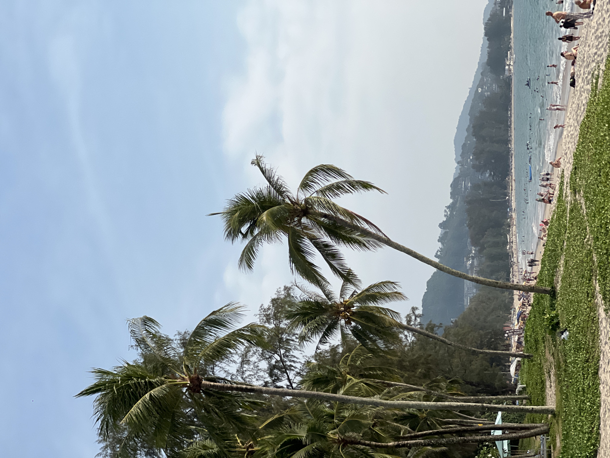 Coastal palm trees observed under cloudy skies in Thailand