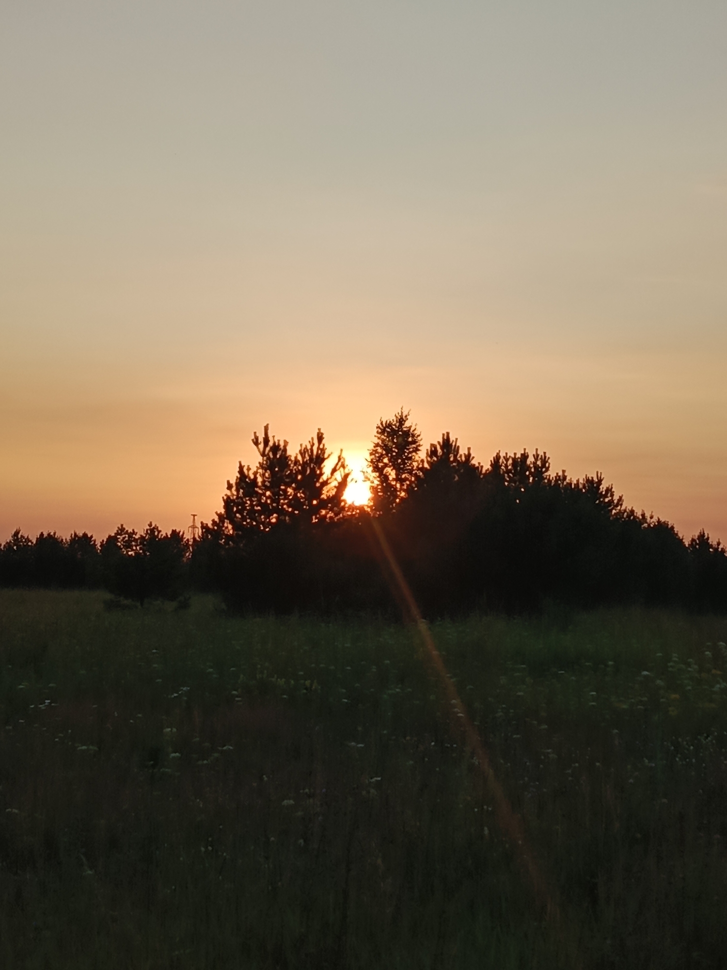 Sunset stroll through a rural Russian landscape at golden hour