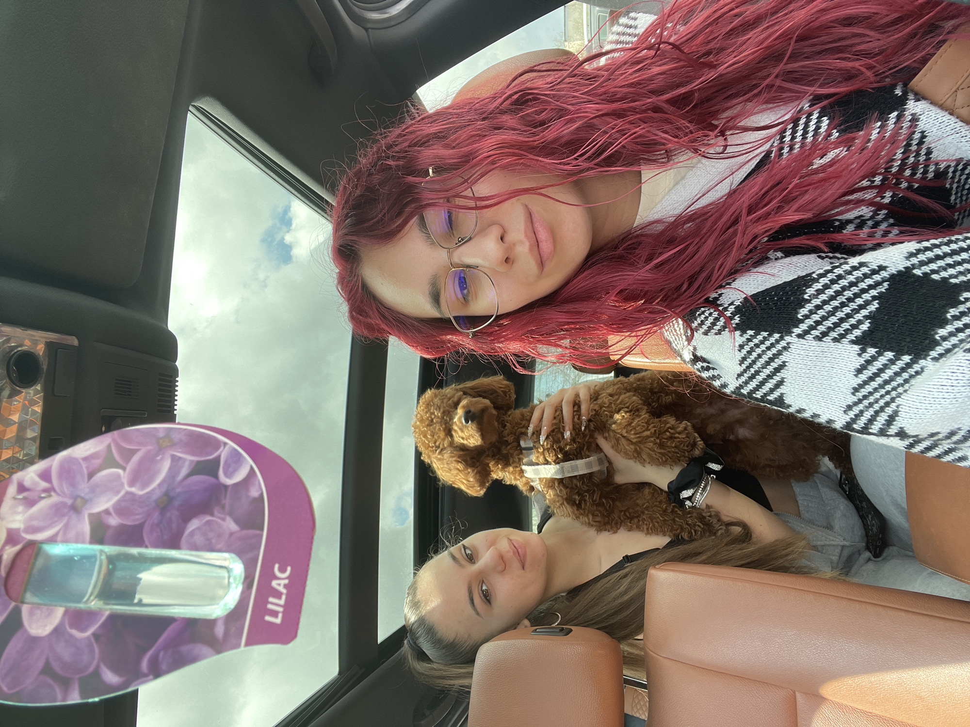 Two women, poodle travel together in car in Pleven