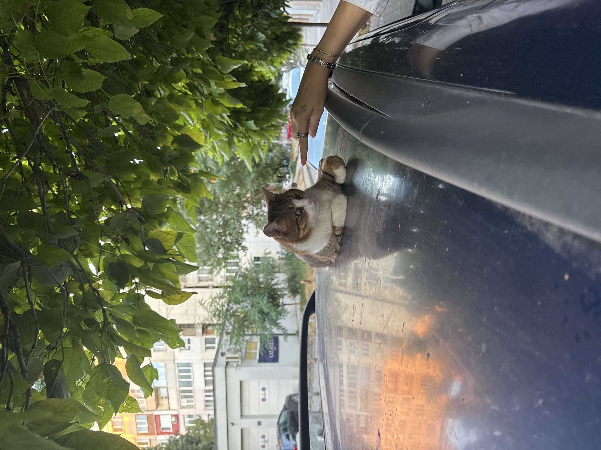 Selfies, street views, and a cat on a Sofia afternoon