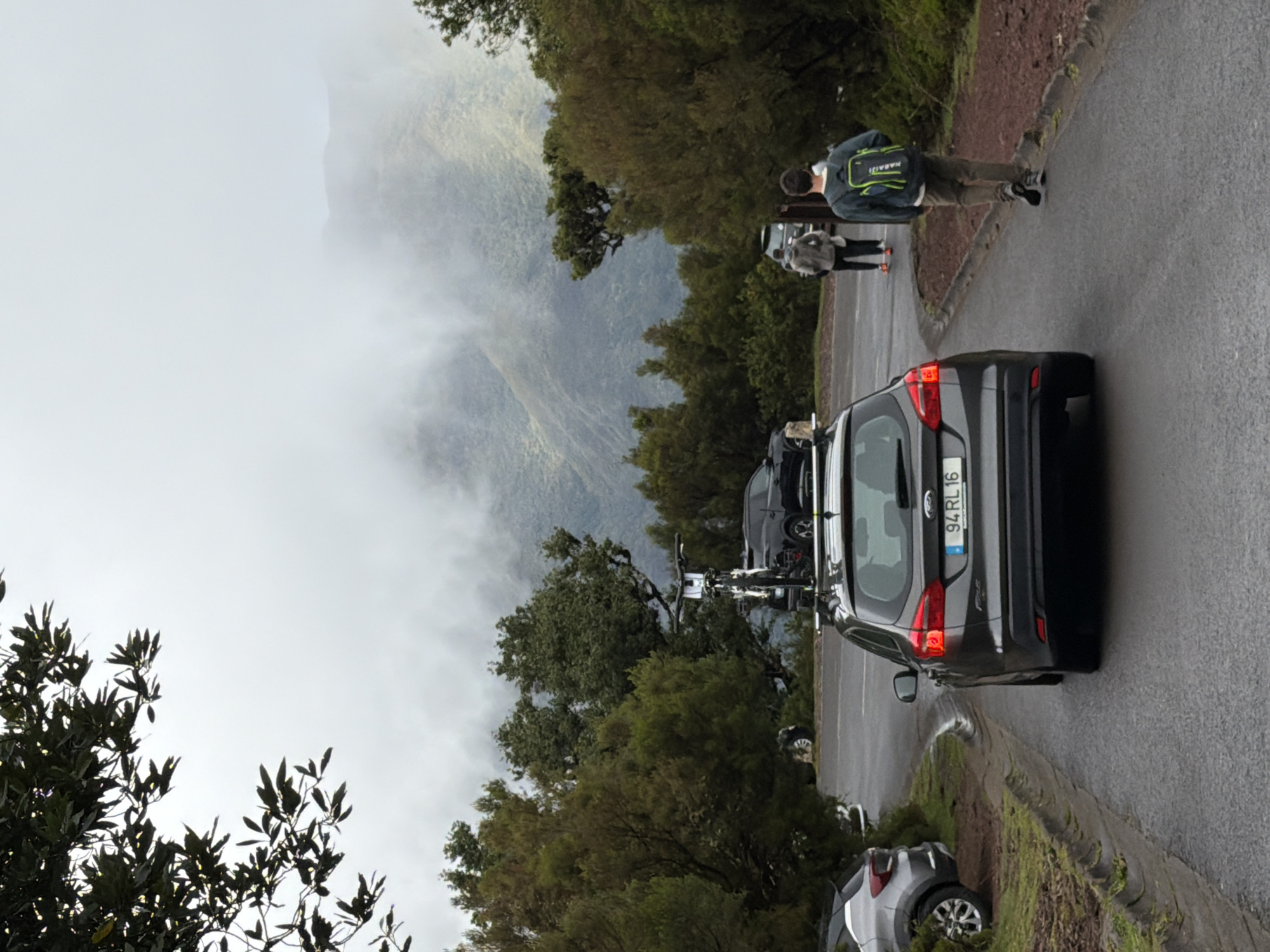 Morning fog and forest walks documented in Porto Moniz